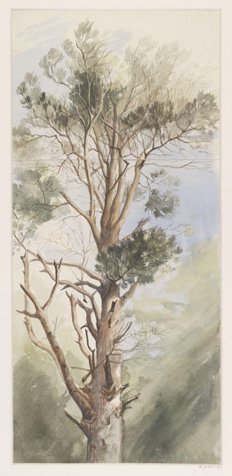 Drawing, George Edwards Hering, 19th century