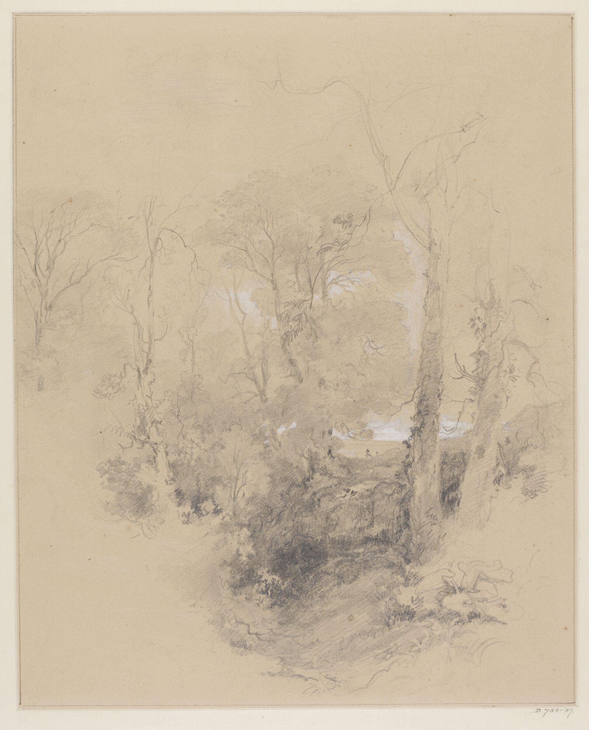 Drawing, George Edwards Hering, 19th century