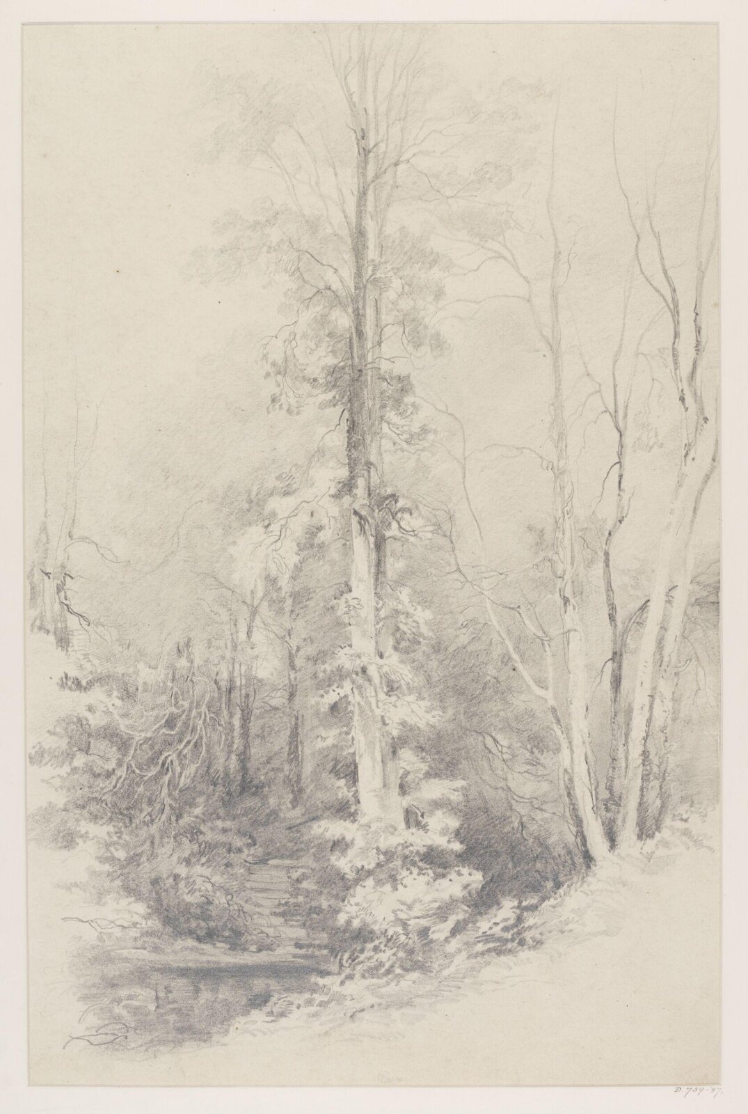 Drawing, George Edwards Hering, 19th century