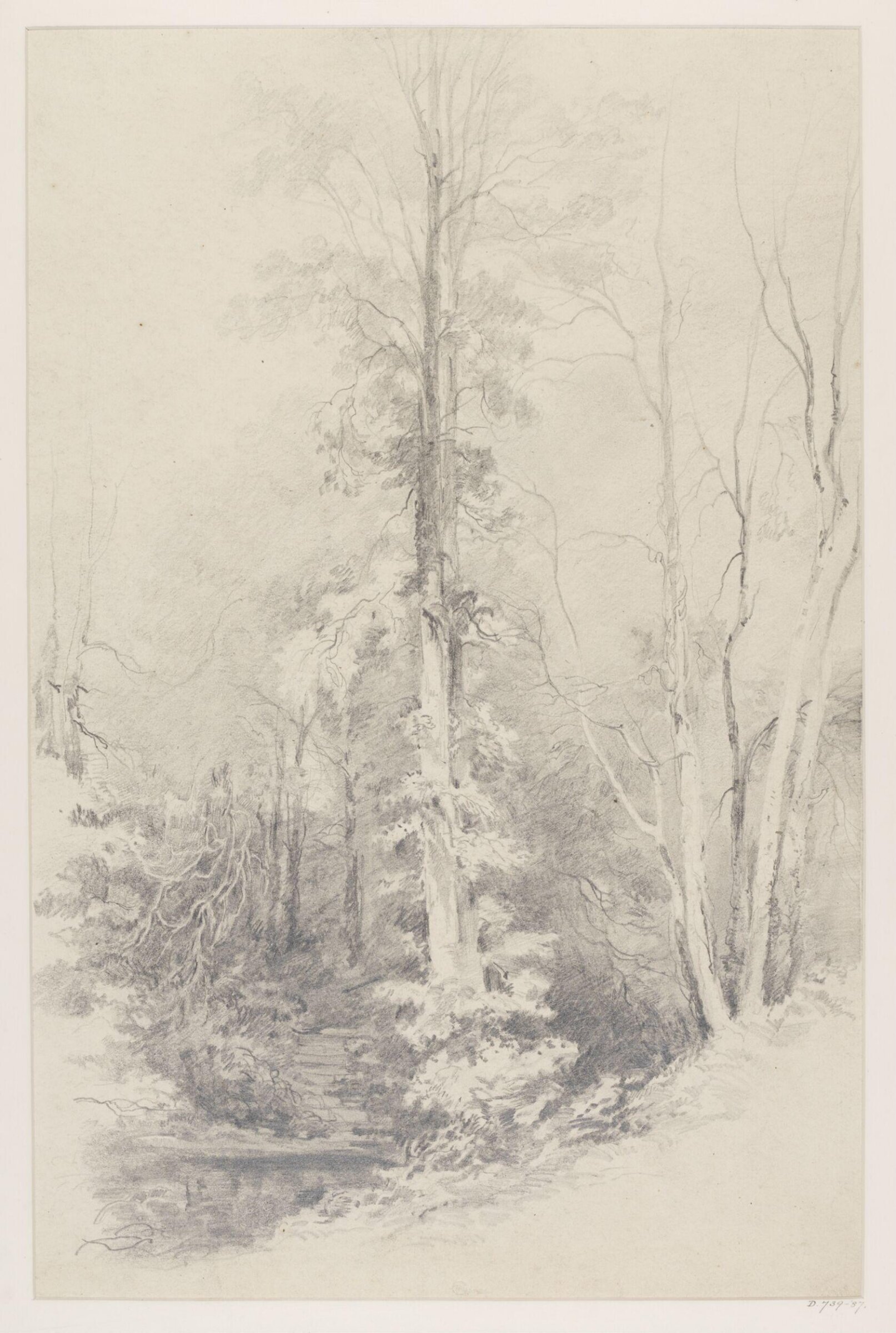 Drawing, George Edwards Hering, 19th century