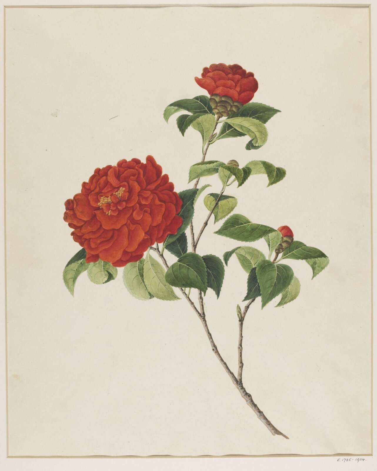 Watercolour drawing, first quarter 19th century