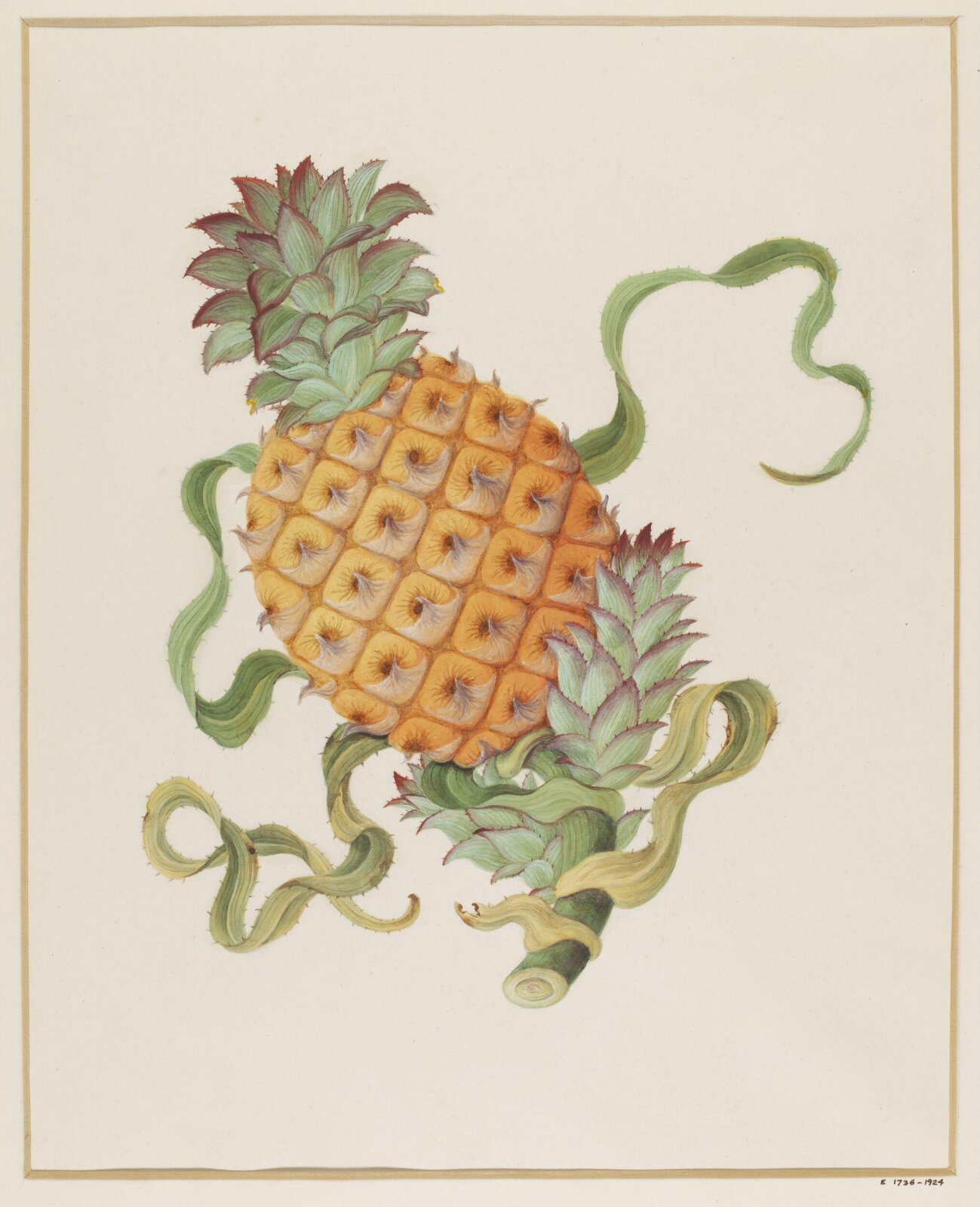 Watercolour drawing, first quarter 19th century