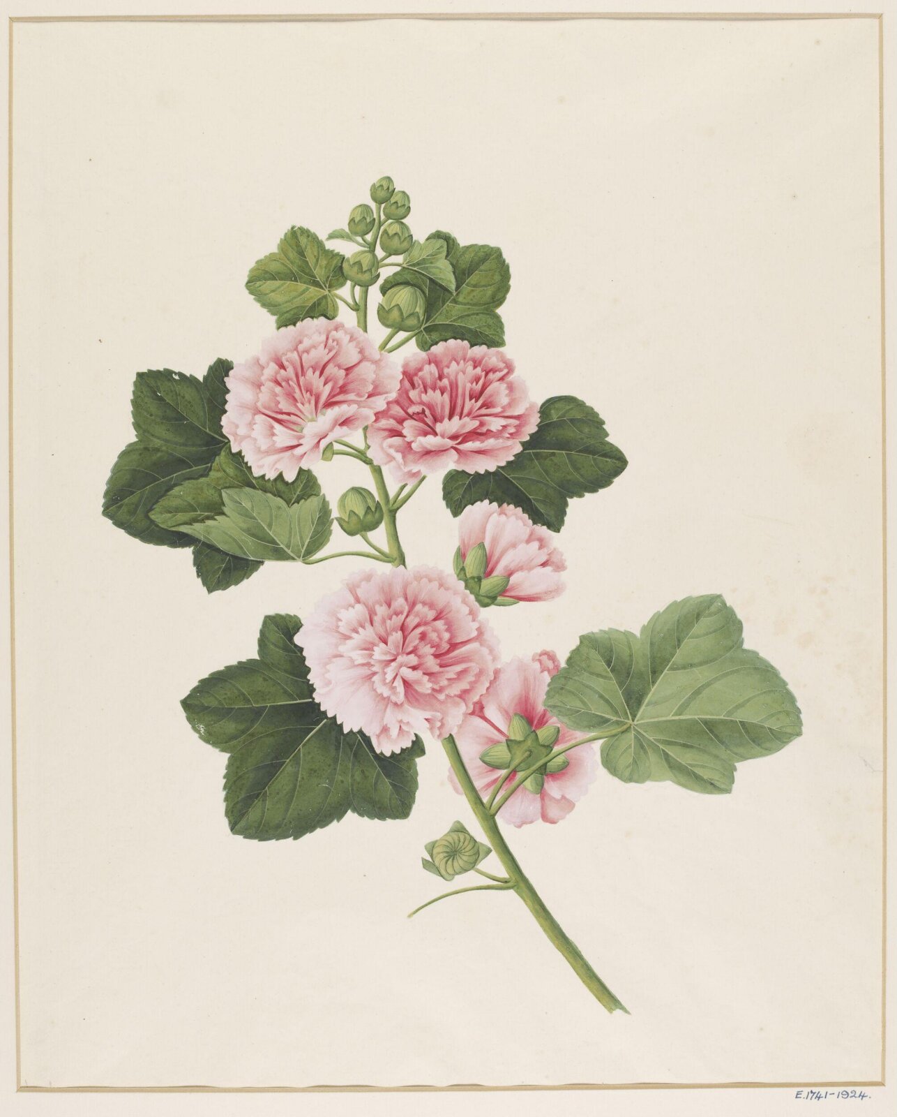 Watercolour drawing, first quarter 19th century