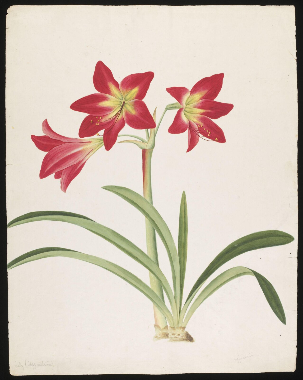 Watercolour drawing, first quarter 19th century