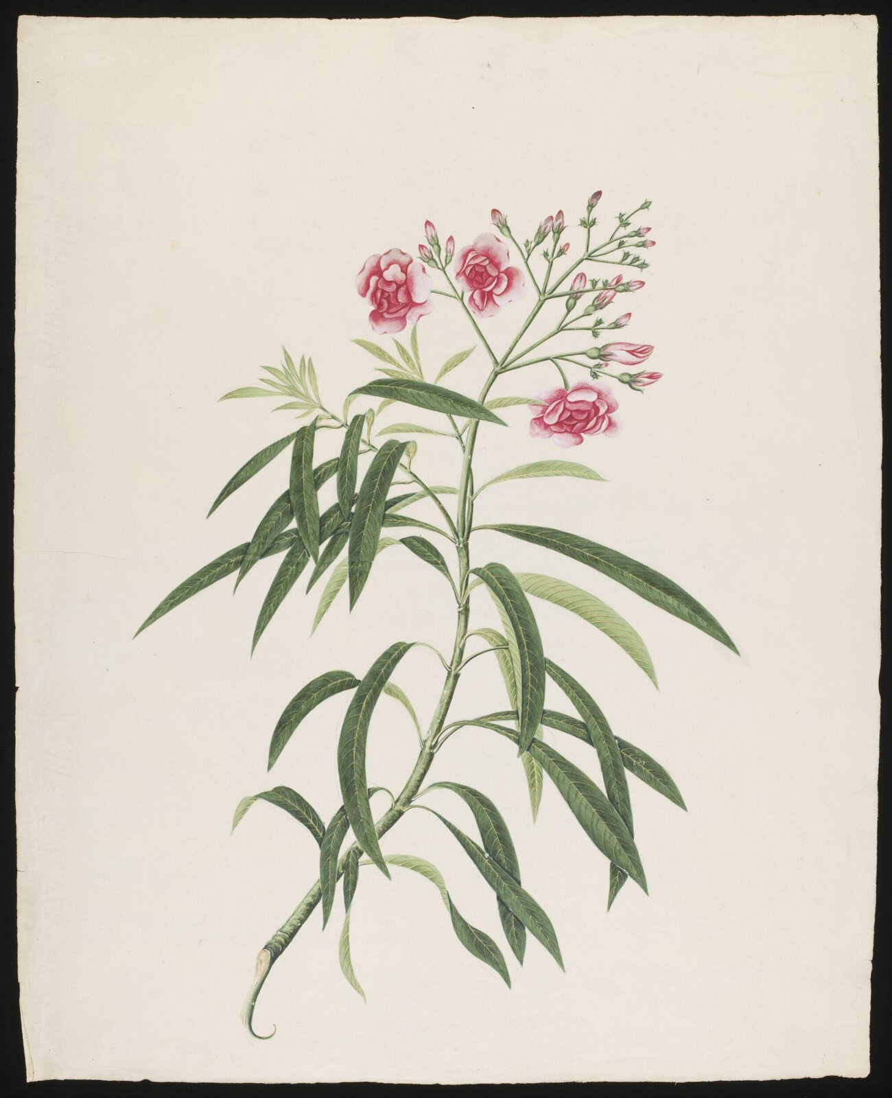 Watercolour drawing, first quarter 19th century