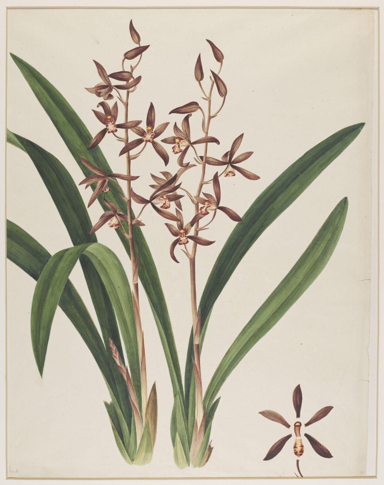 Watercolour drawing, first quarter 19th century