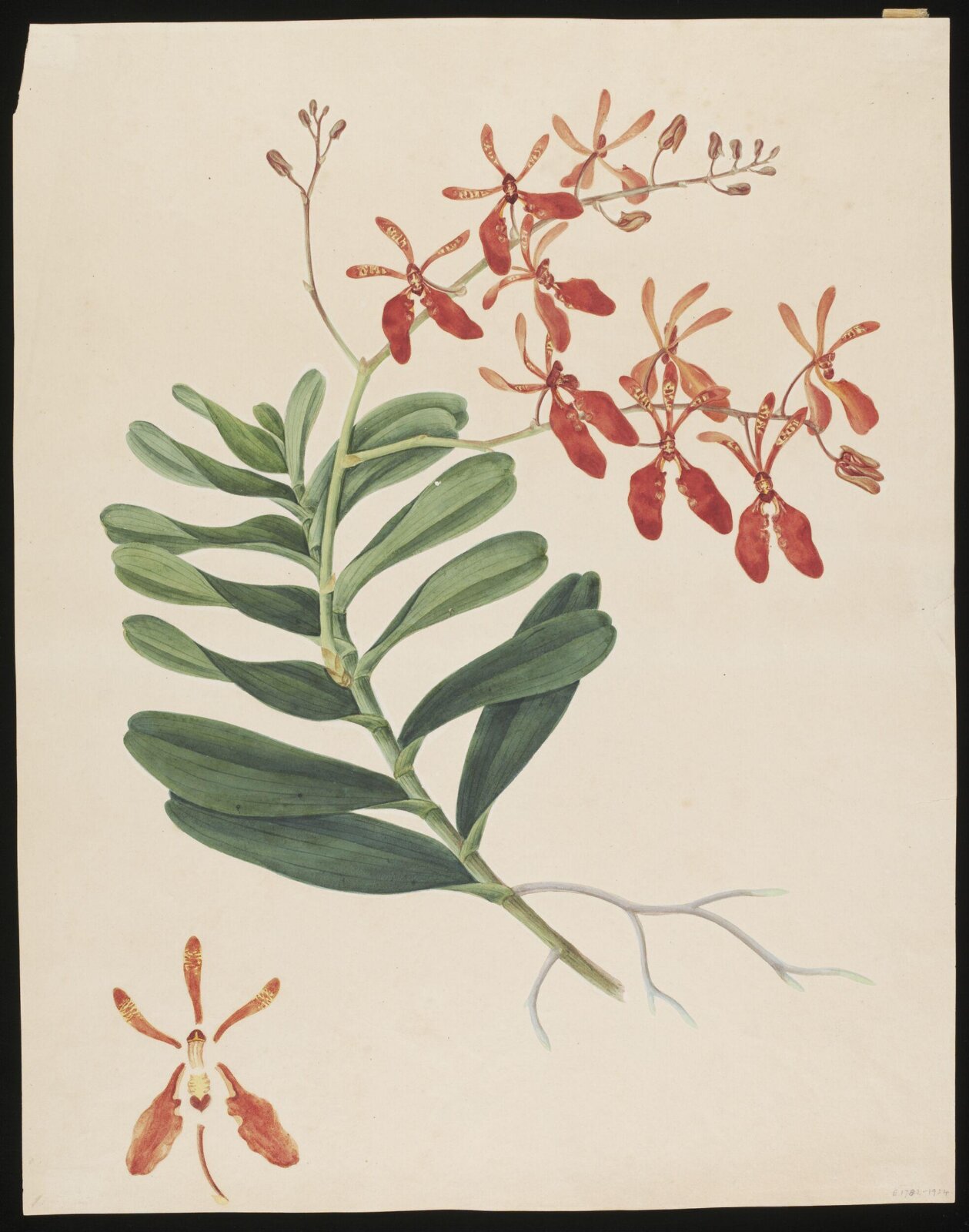 Watercolour drawing, first quarter 19th century