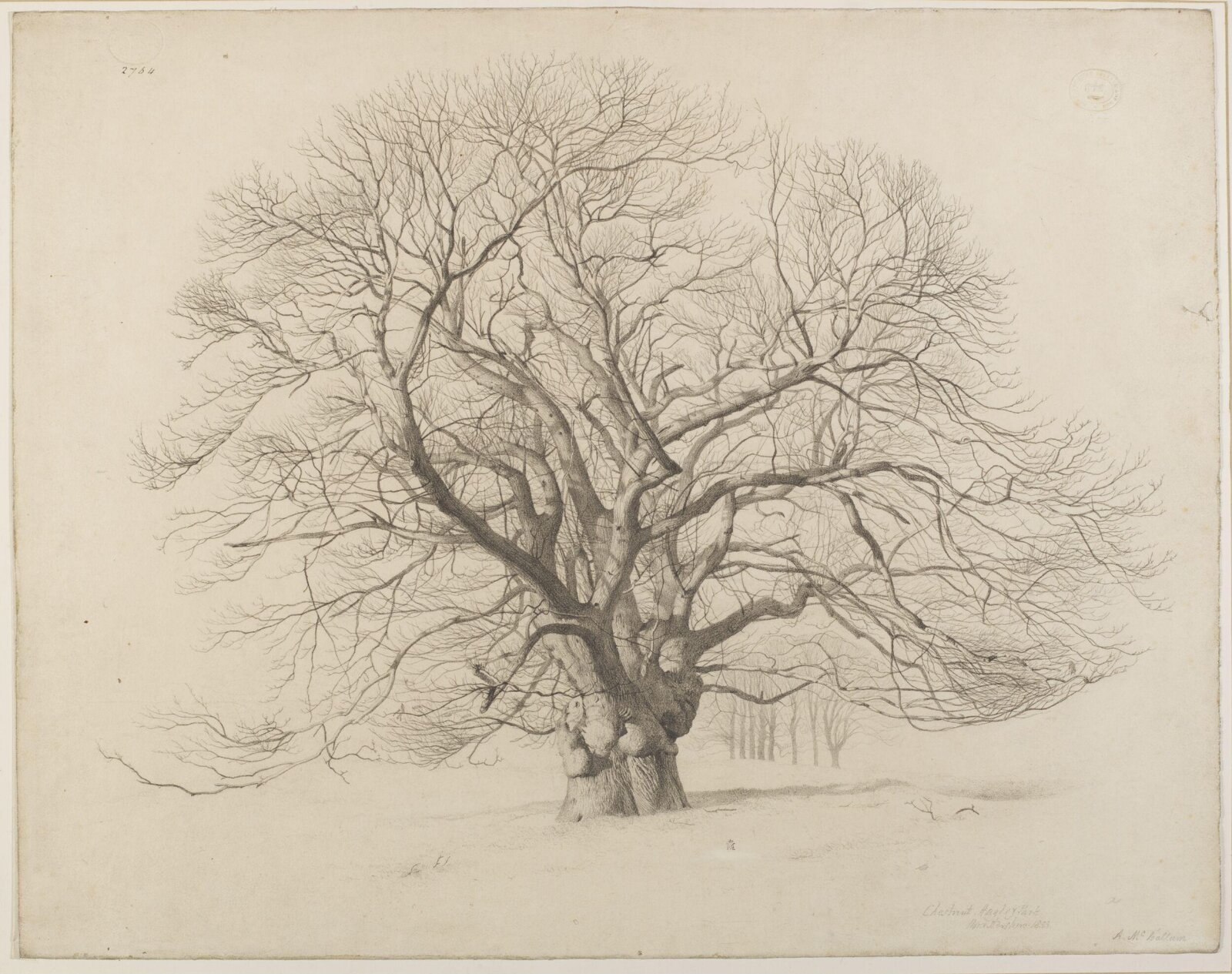 Drawing