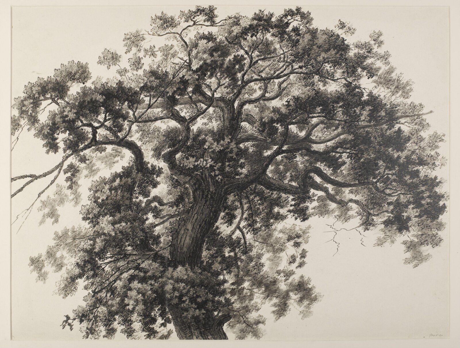 Drawing