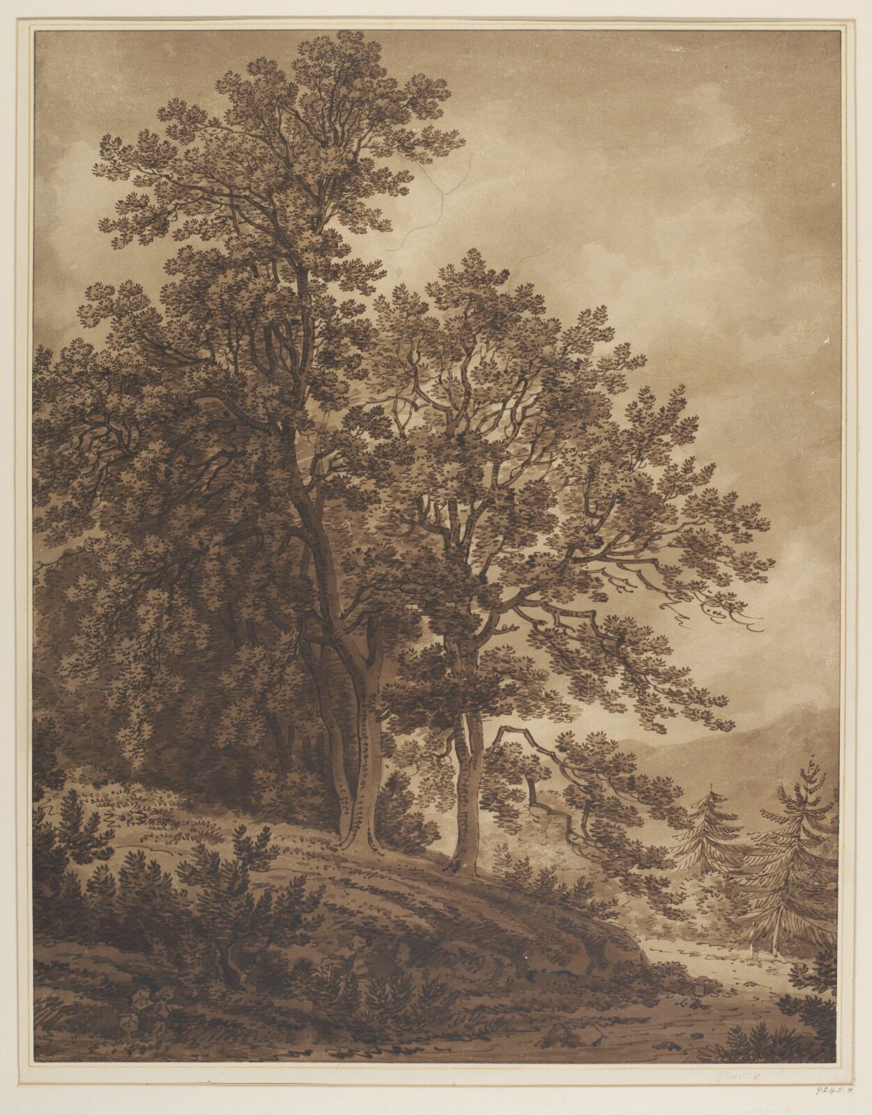 Drawing