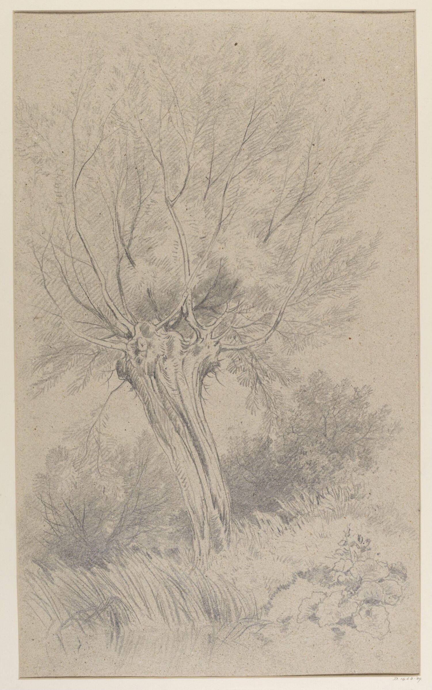 Drawing, William Roxby Beverley, 19th century