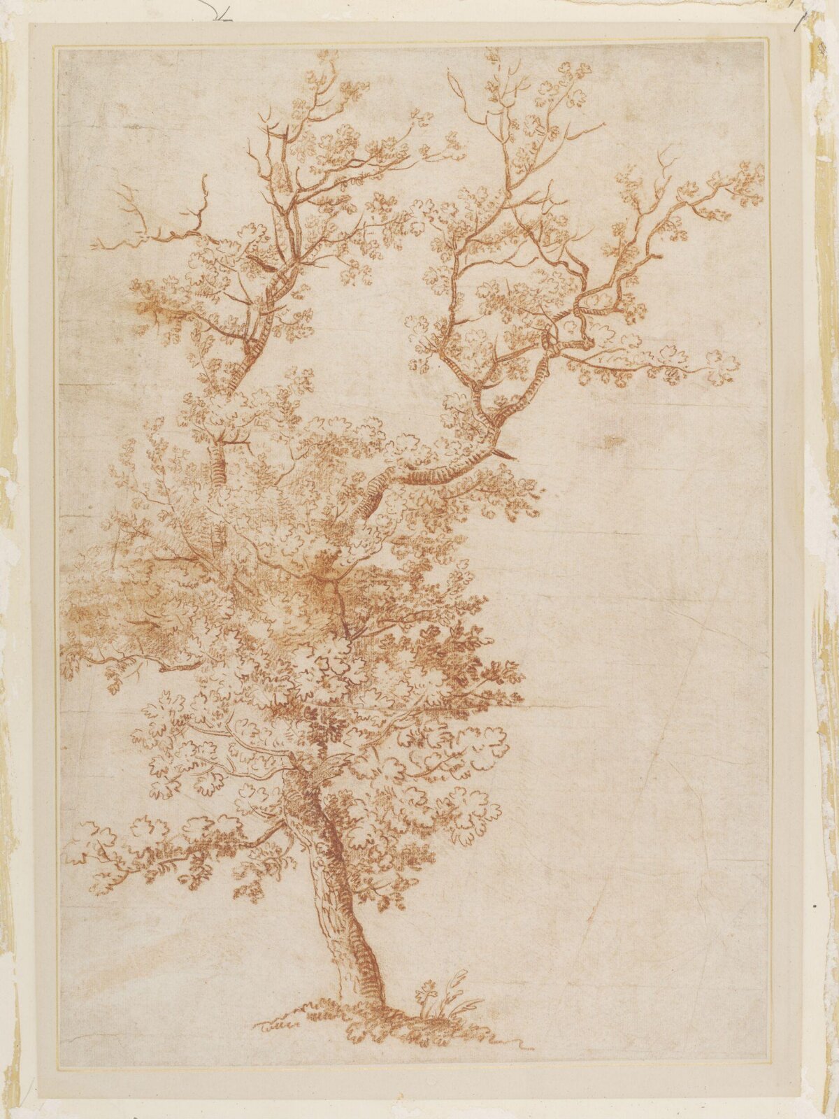 Single tree, François Vivarès, ca. mid 18th century
