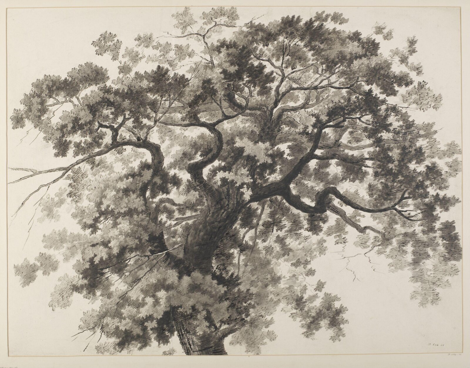 Drawing