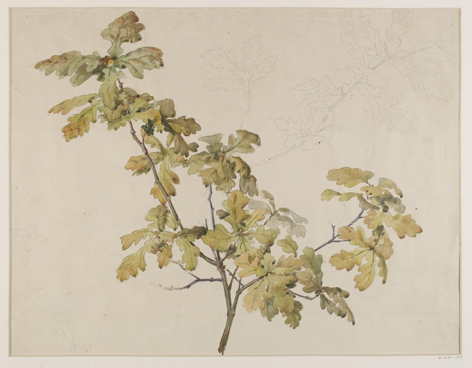 Drawing, Charlotte Horn Spiers, 1873-1914