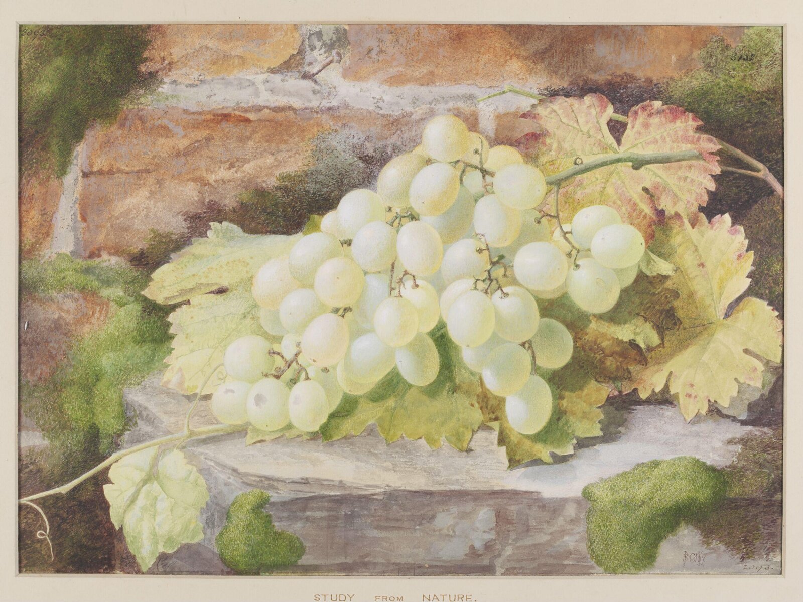 Drawing, Samuel McCloy, ca. late 19th century