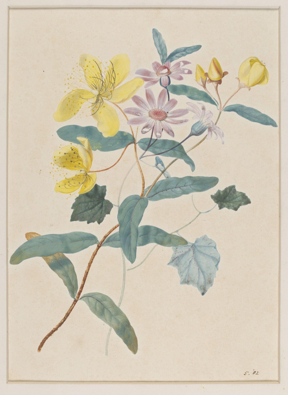 Drawing, James Hewlett, early 19th century