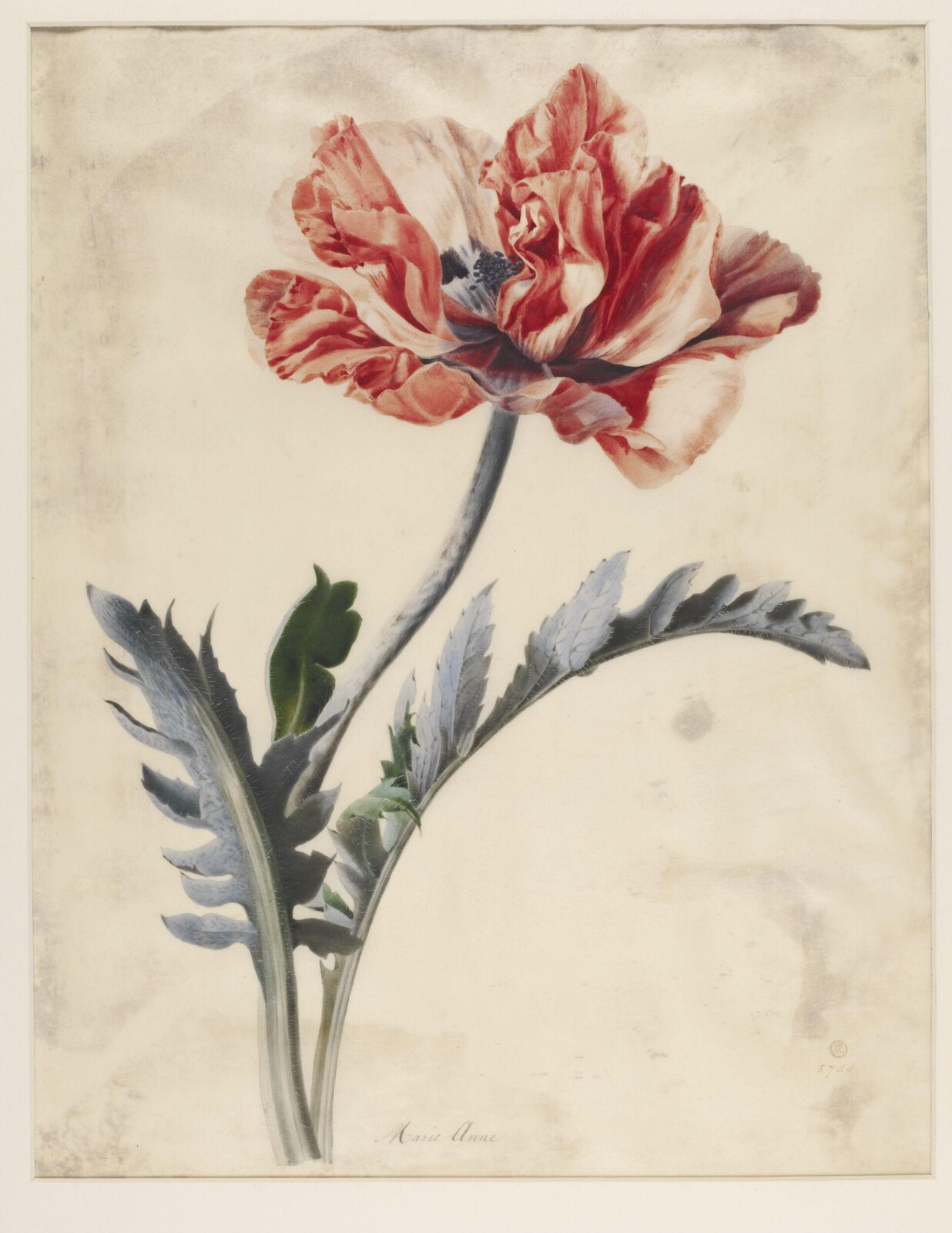 Drawing, ca. 1850