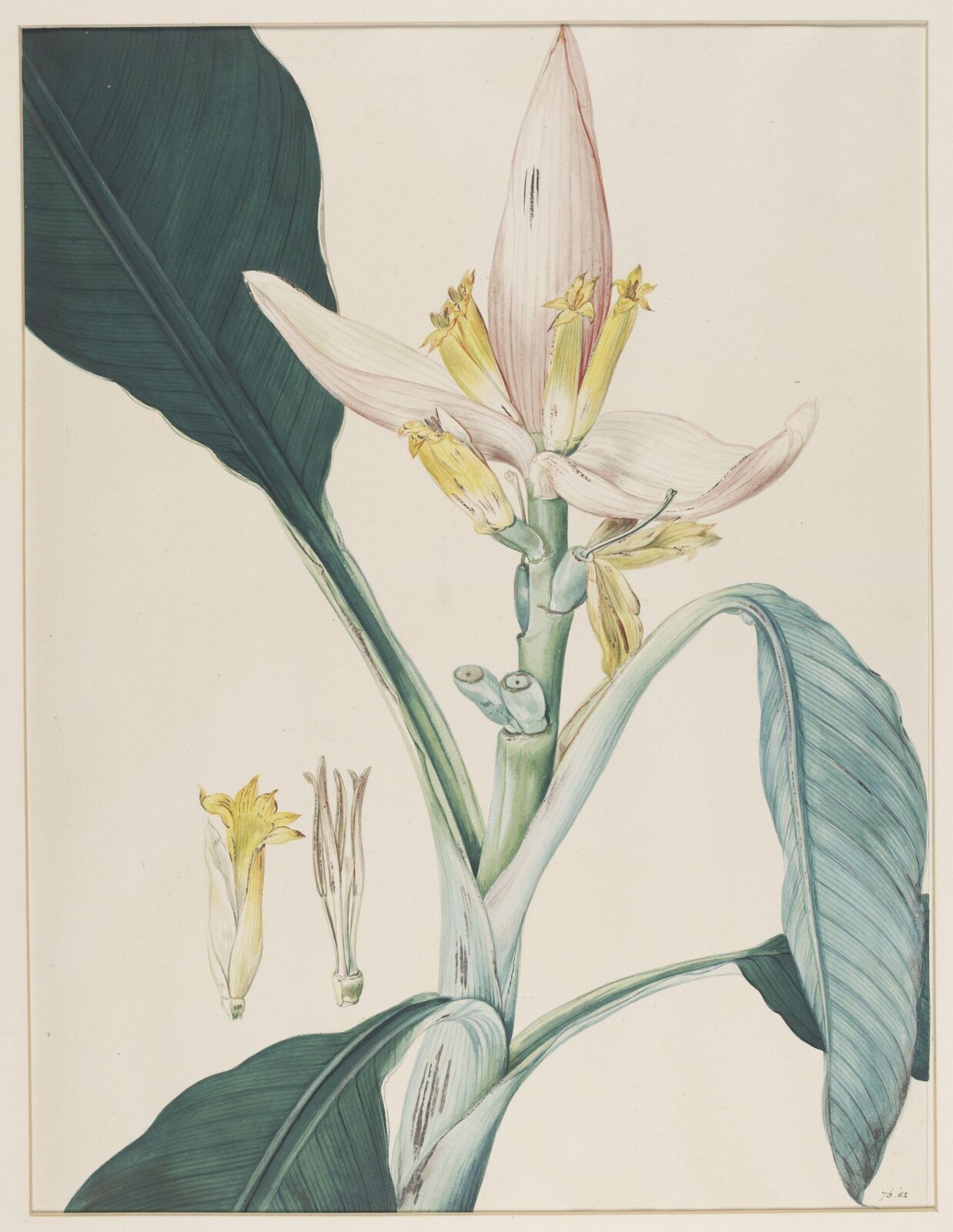 Watercolour, Johann Knapp, early 19th century