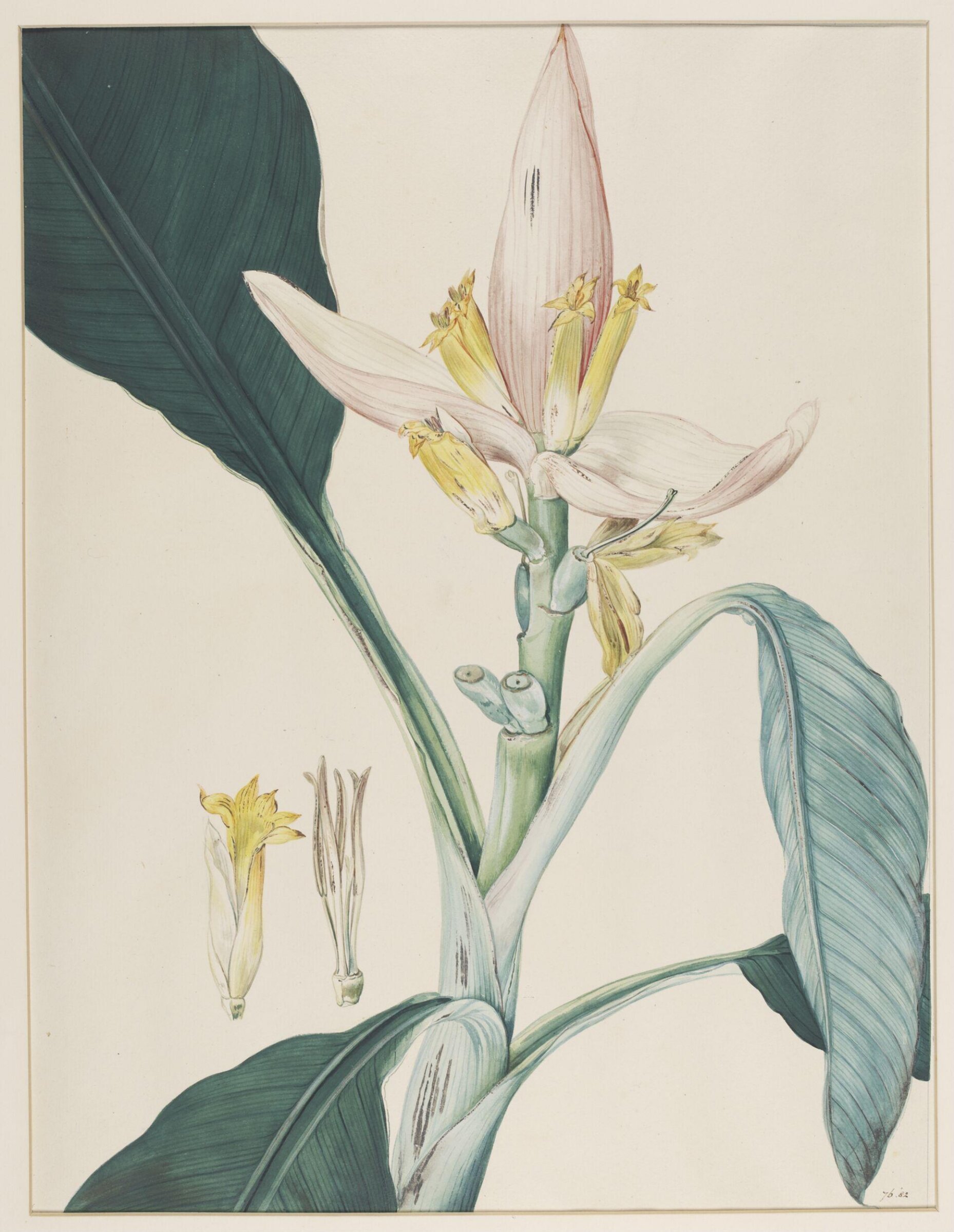 Watercolour, Johann Knapp, early 19th century