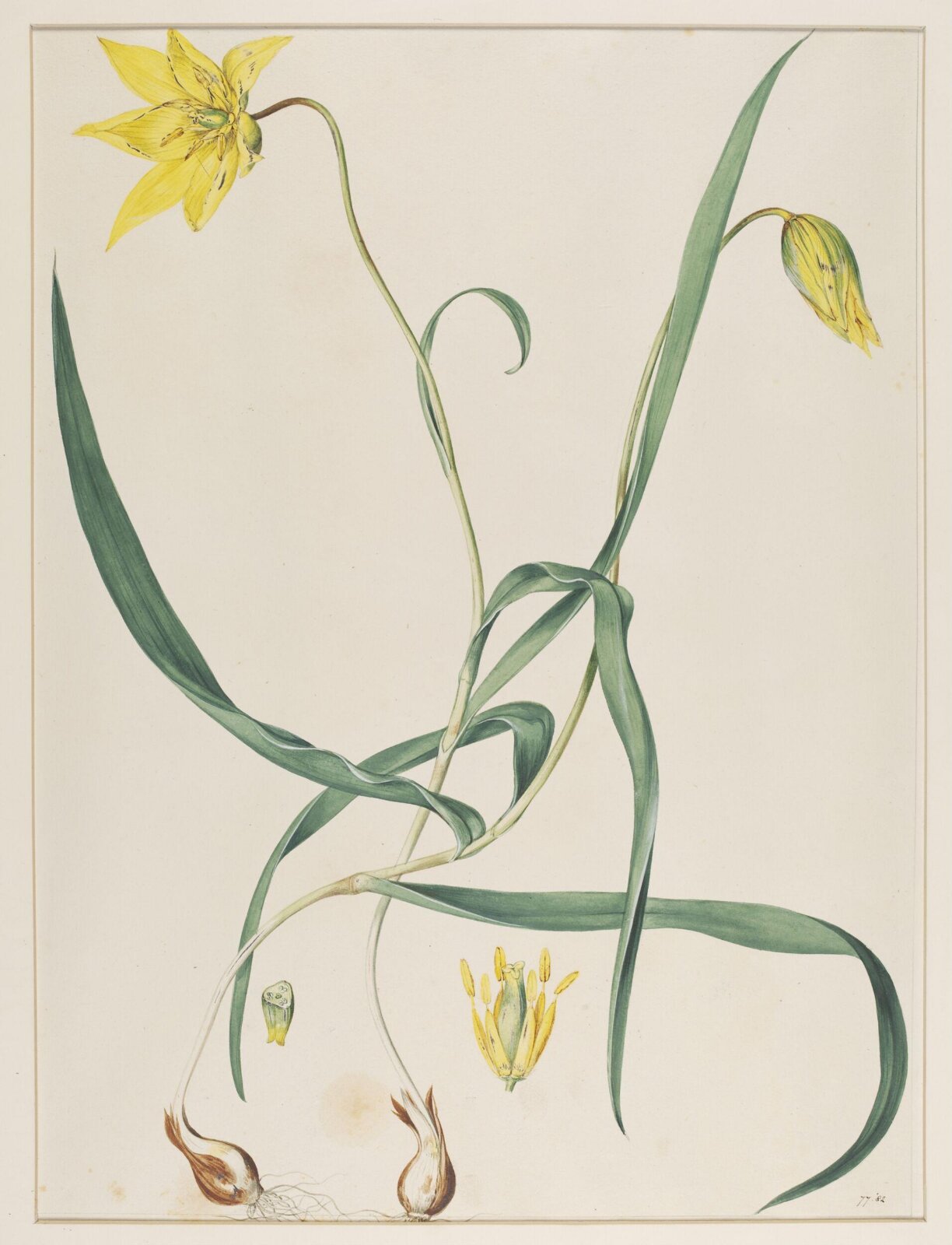 Watercolour, Johann Knapp, early 19th century