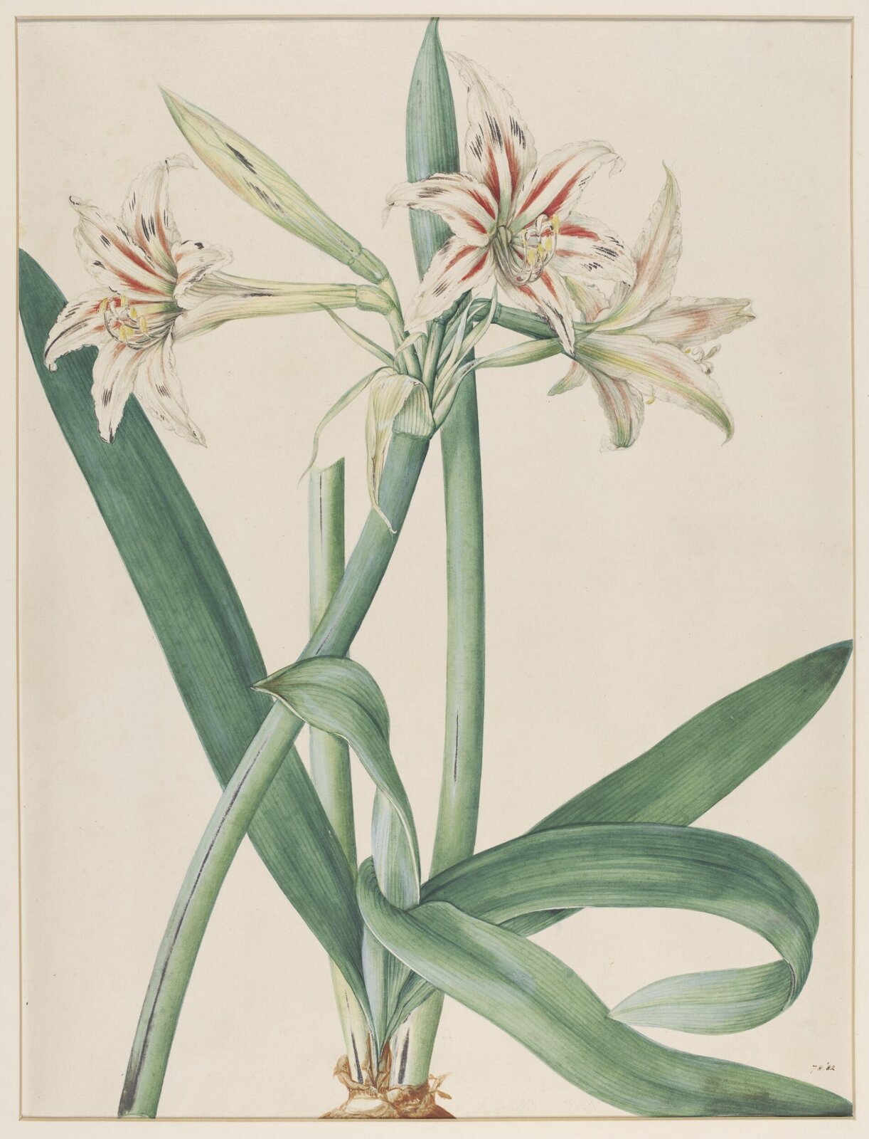 Watercolour, Johann Knapp, early 19th century