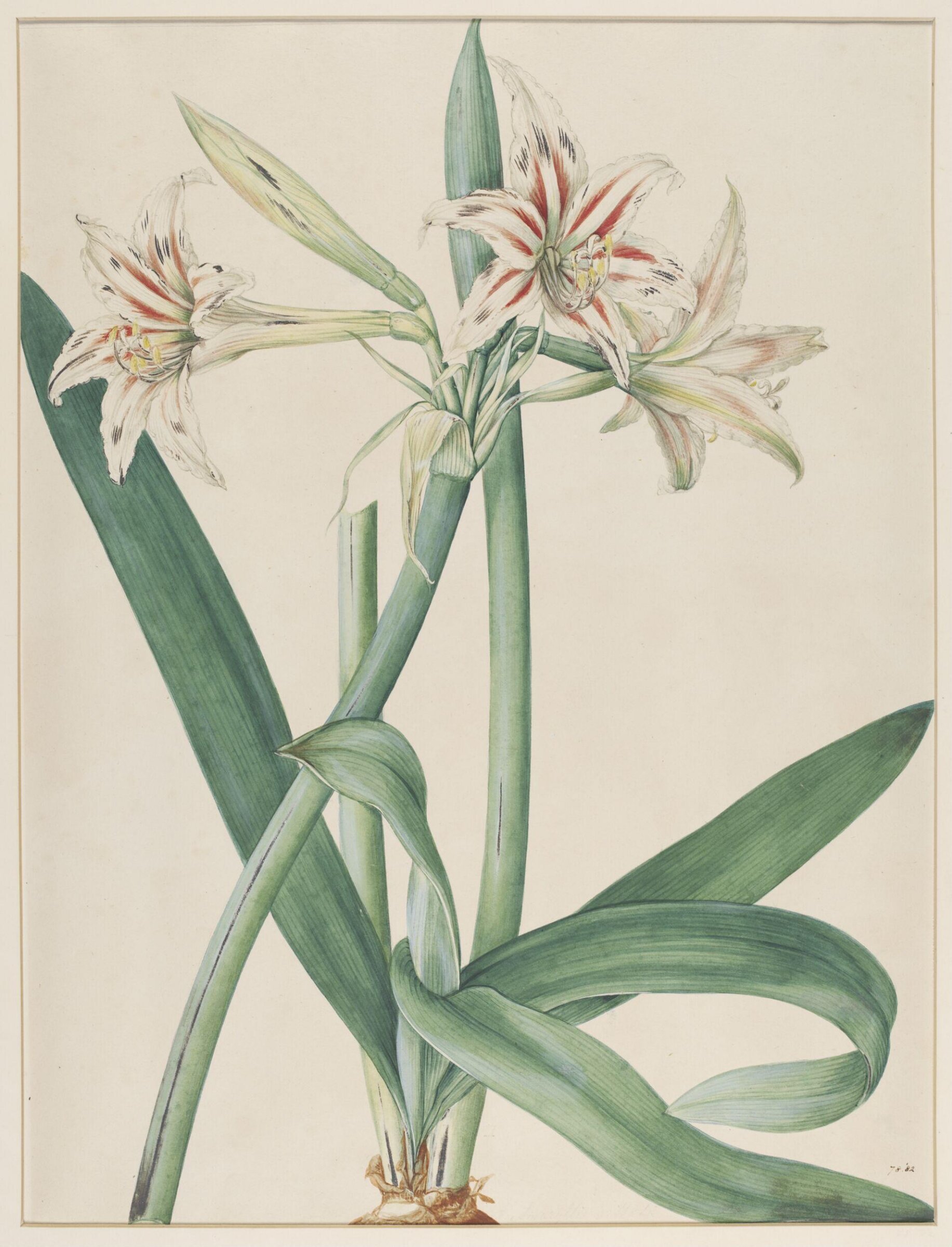 Watercolour, Johann Knapp, early 19th century