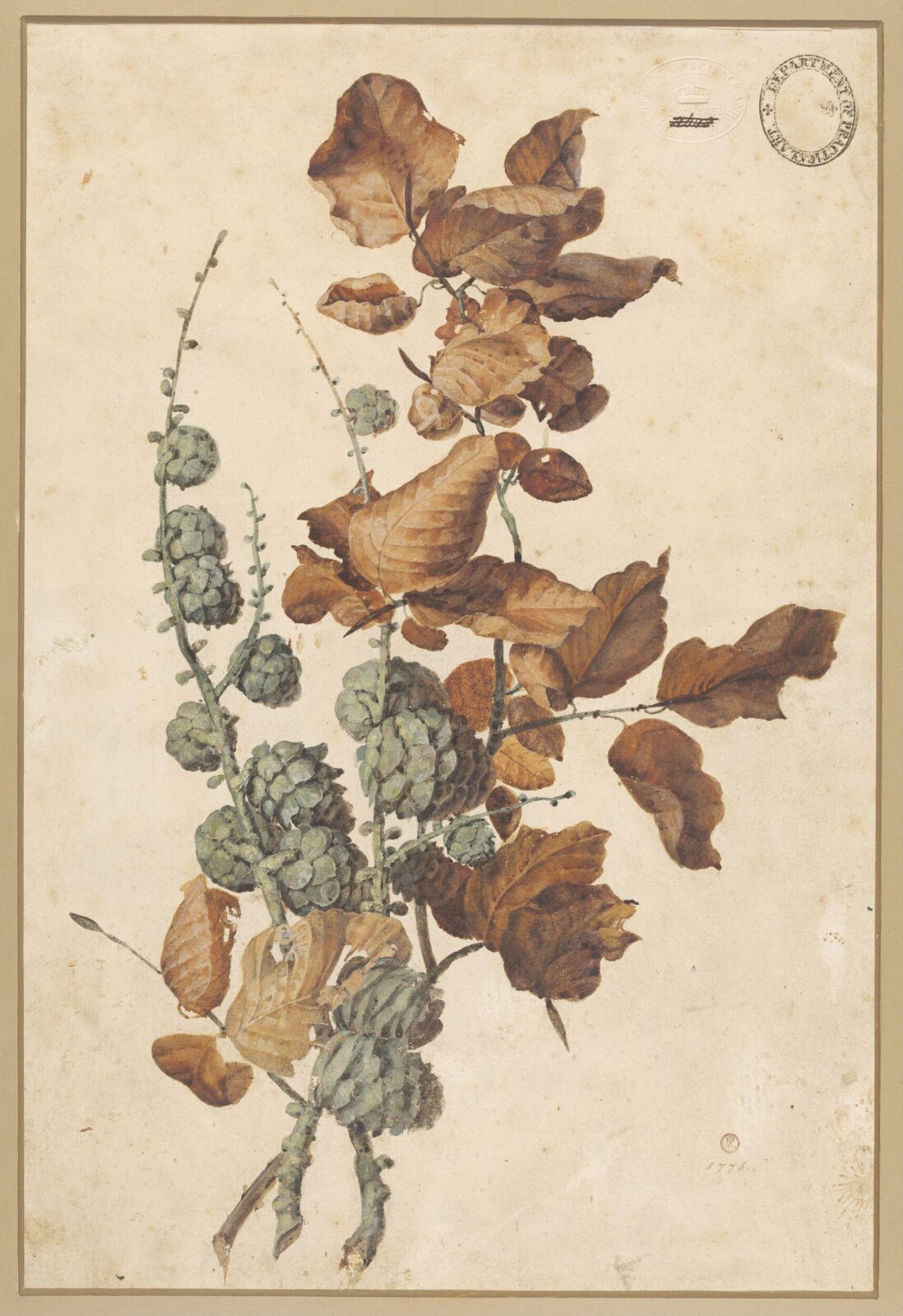 Drawing
