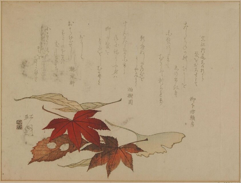 Fallen Leaves by Nagayama Kōin