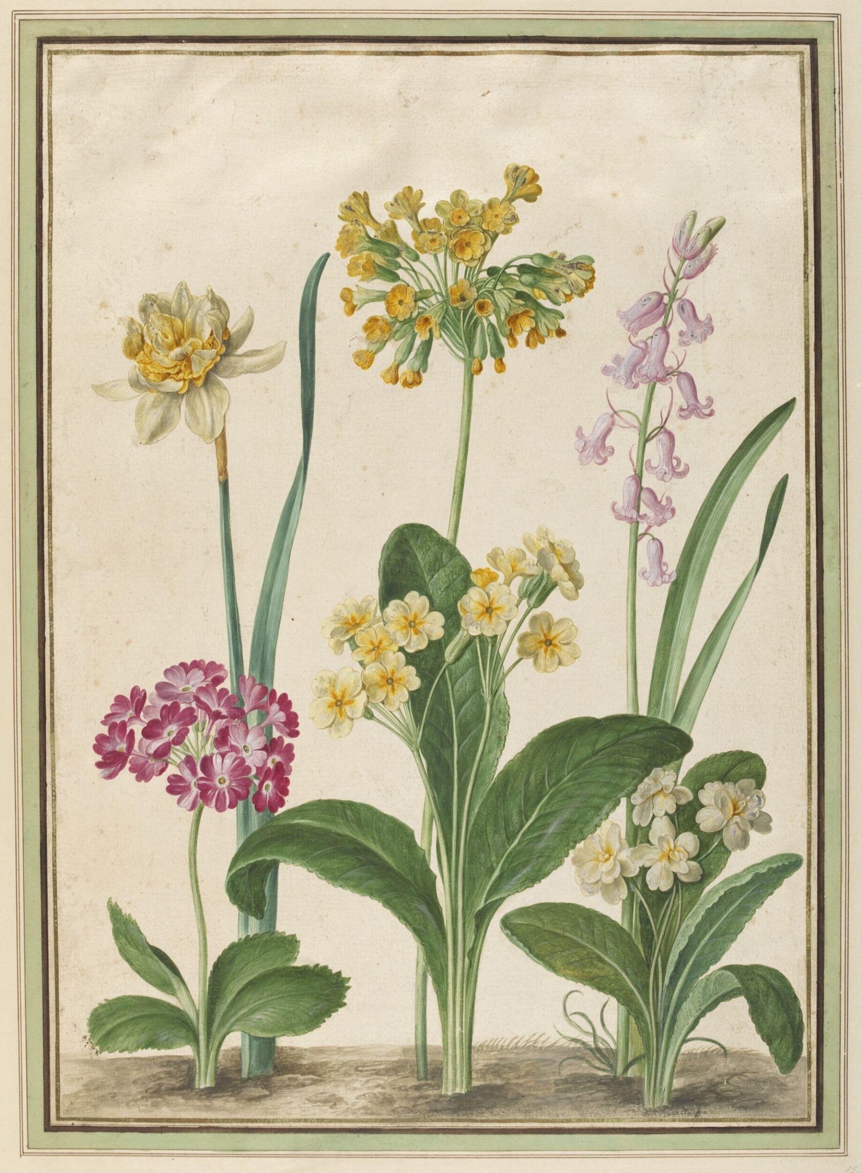 Watercolour, Johann Jakob Walther