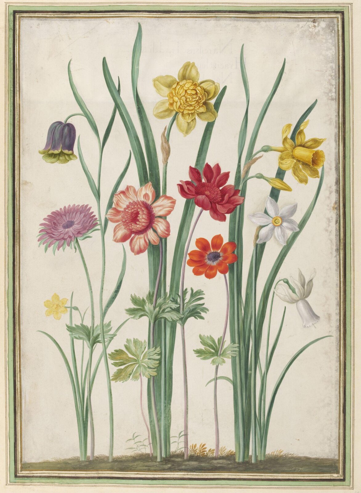 Watercolour, Johann Jakob Walther