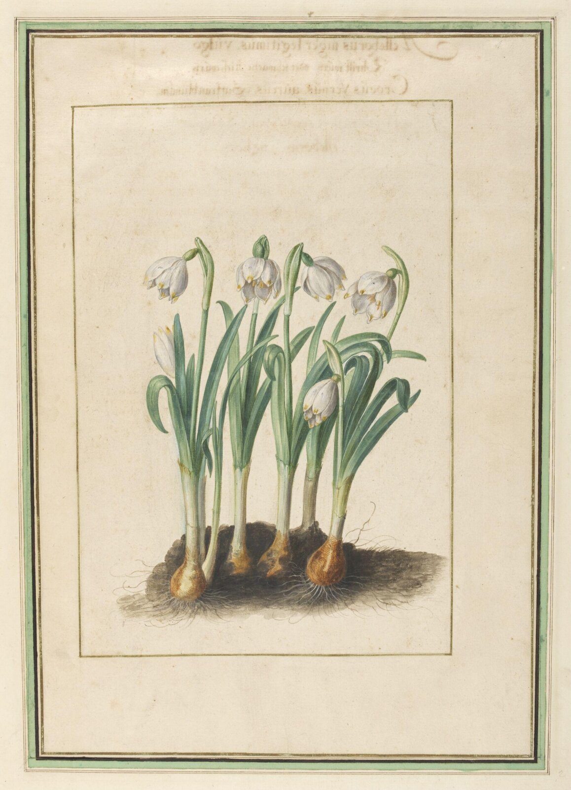 Watercolour, Johann Jakob Walther, 1654