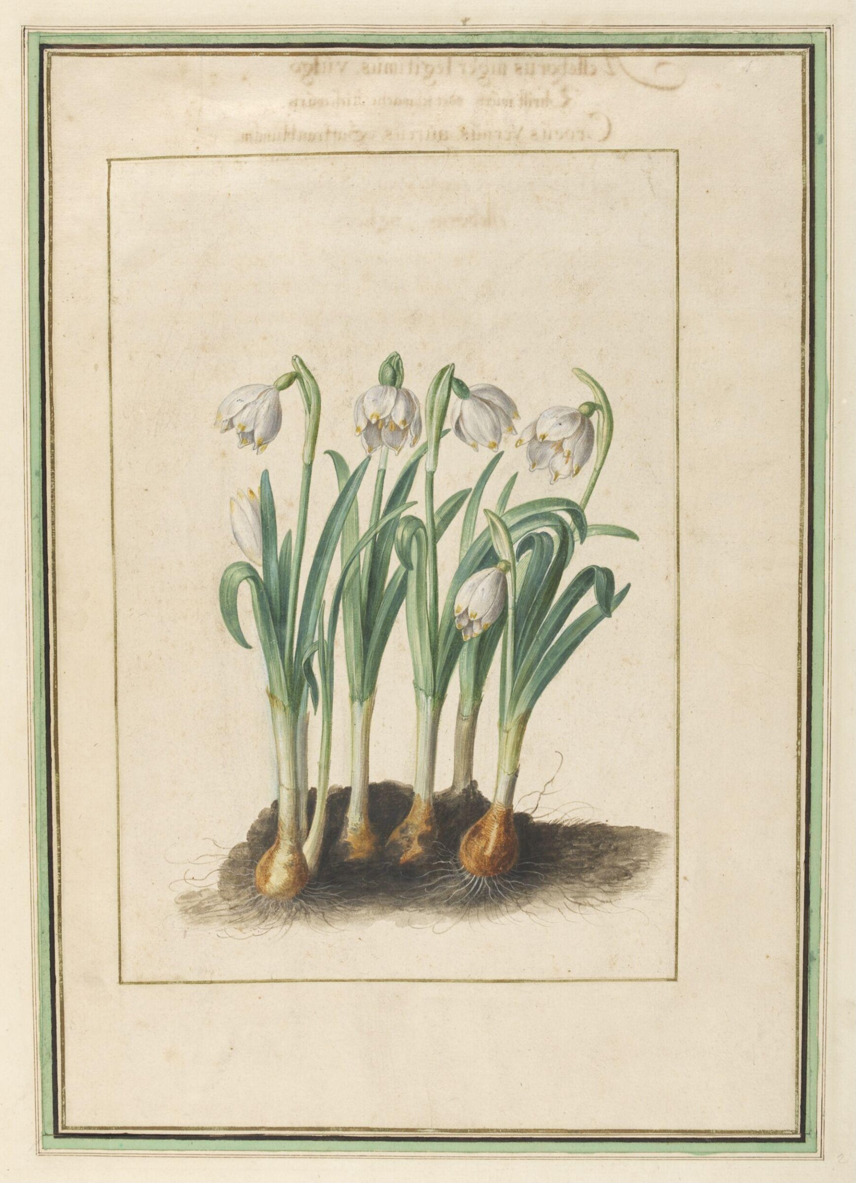 Watercolour, Johann Jakob Walther, 1654