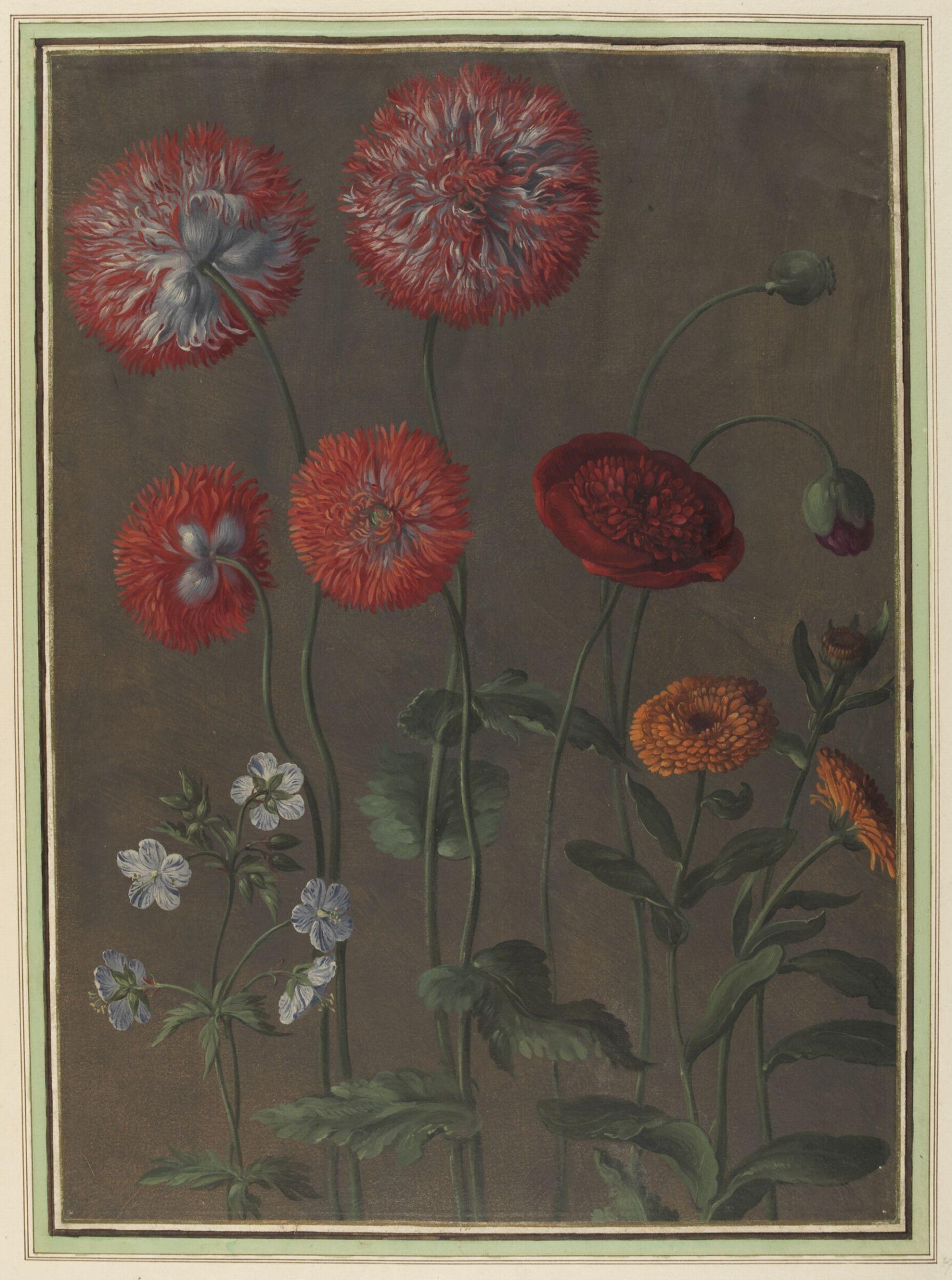 Watercolour, Johann Jakob Walther