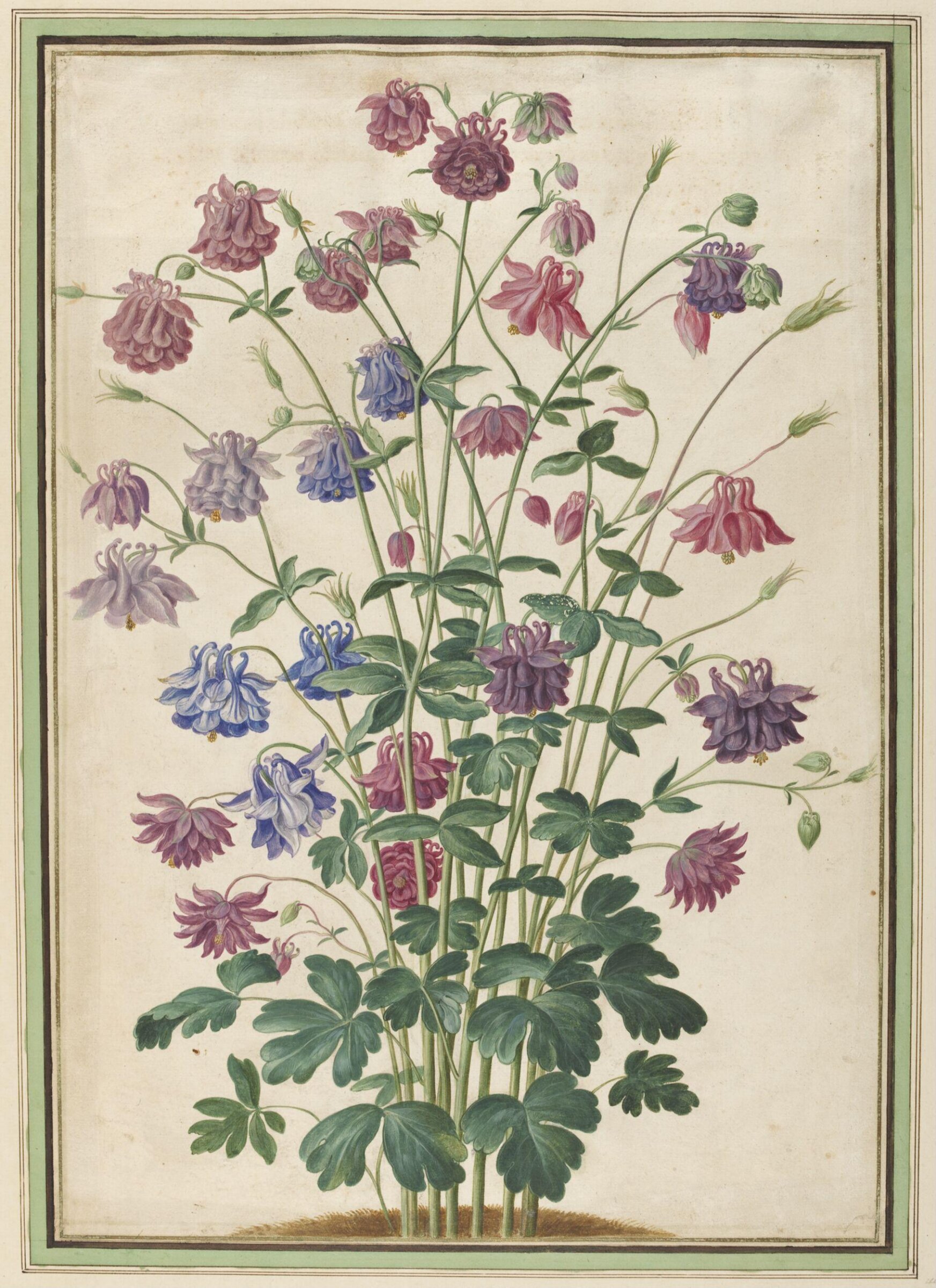 Watercolour, Johann Jakob Walther
