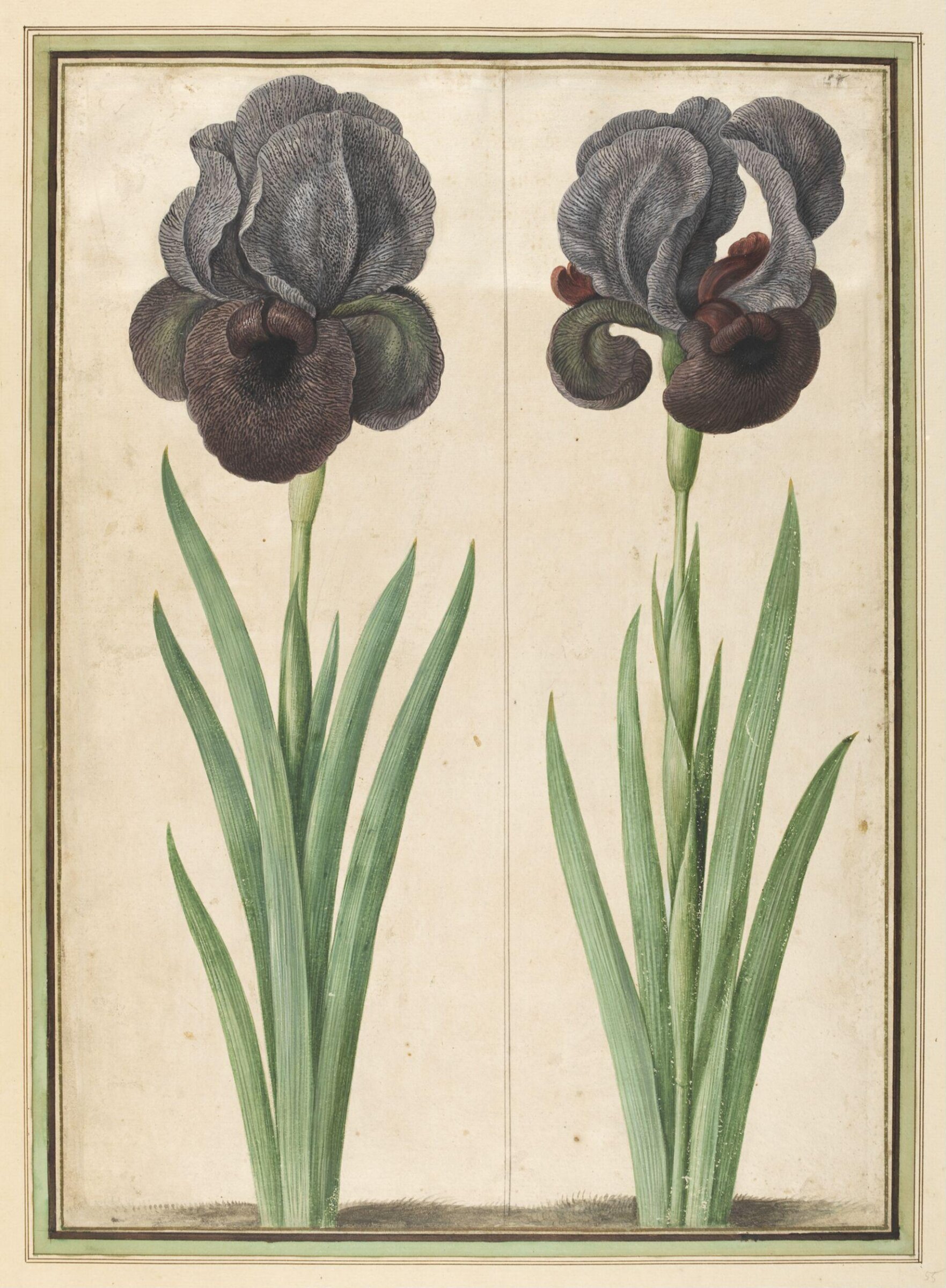 Similacrum Scenographicum Celeberrimi Horti Itzeinensis, Johann Jakob Walther, 1654