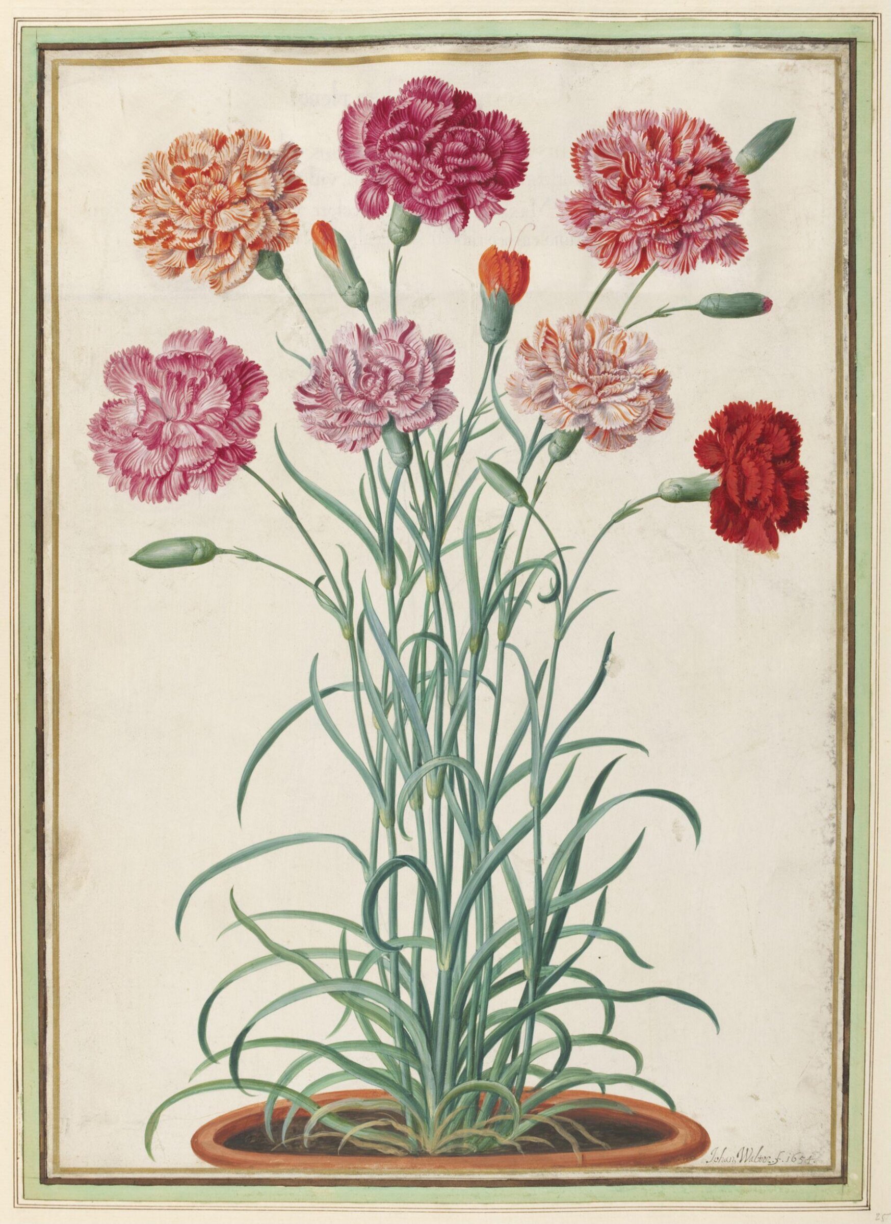 Watercolour, Johann Jakob Walther, 1654