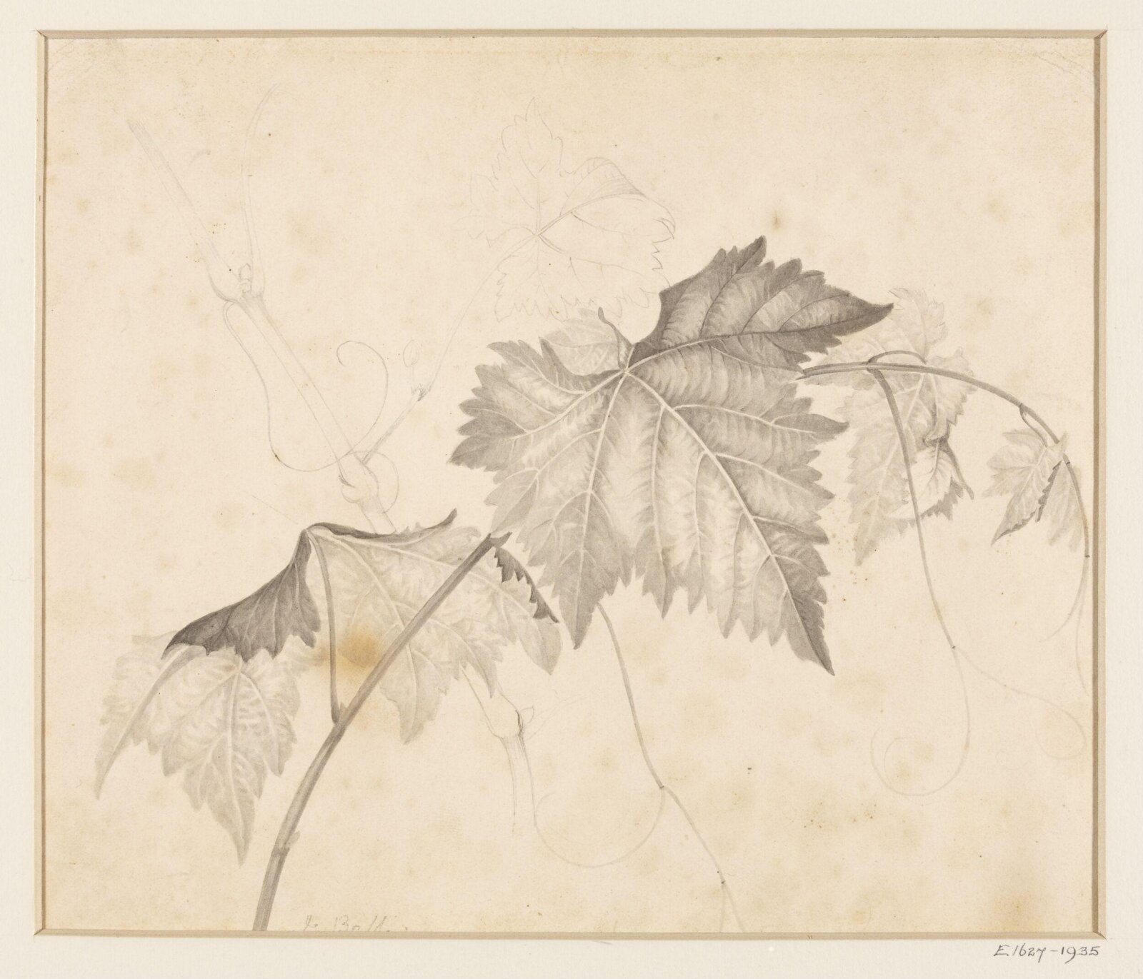 Drawing, Joseph Bell, 1829