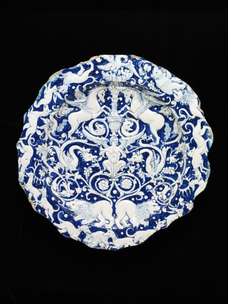 Dish top image