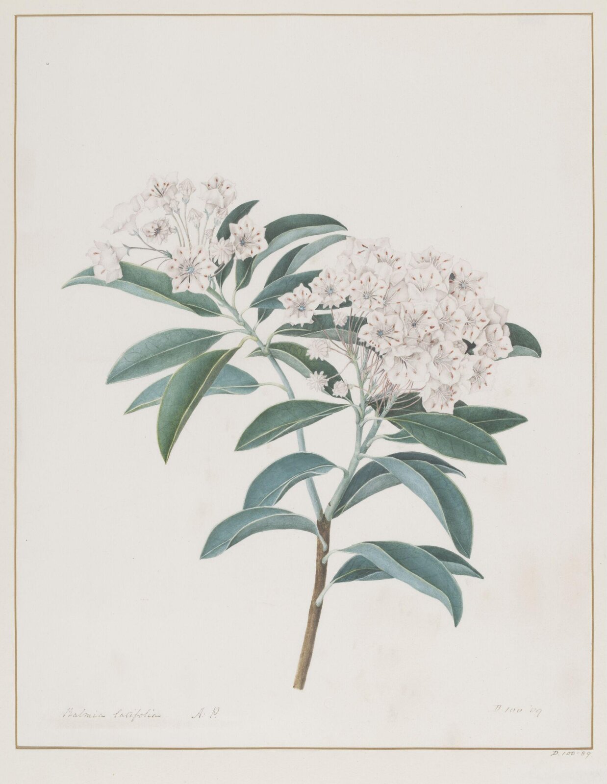 Drawing, A. Power, ca. 1800