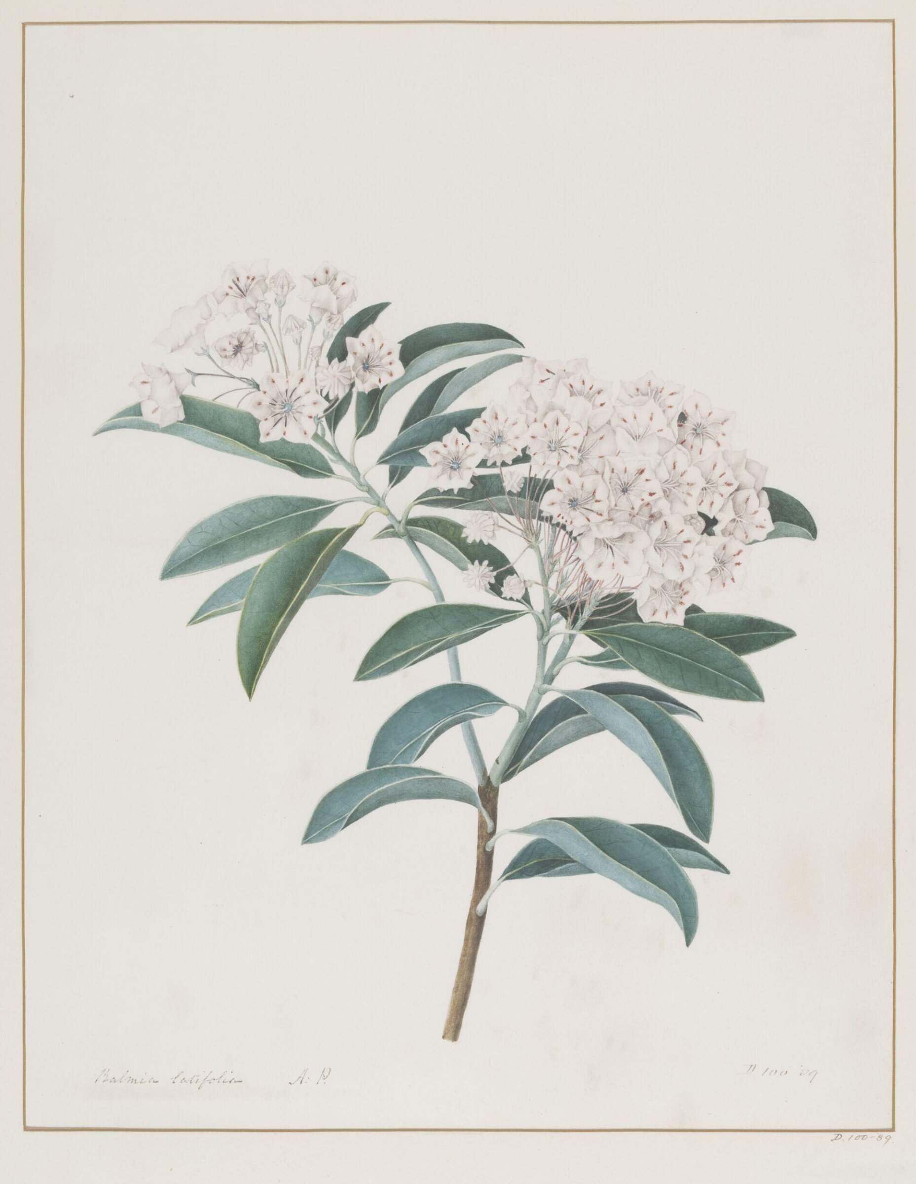 Drawing, A. Power, ca. 1800