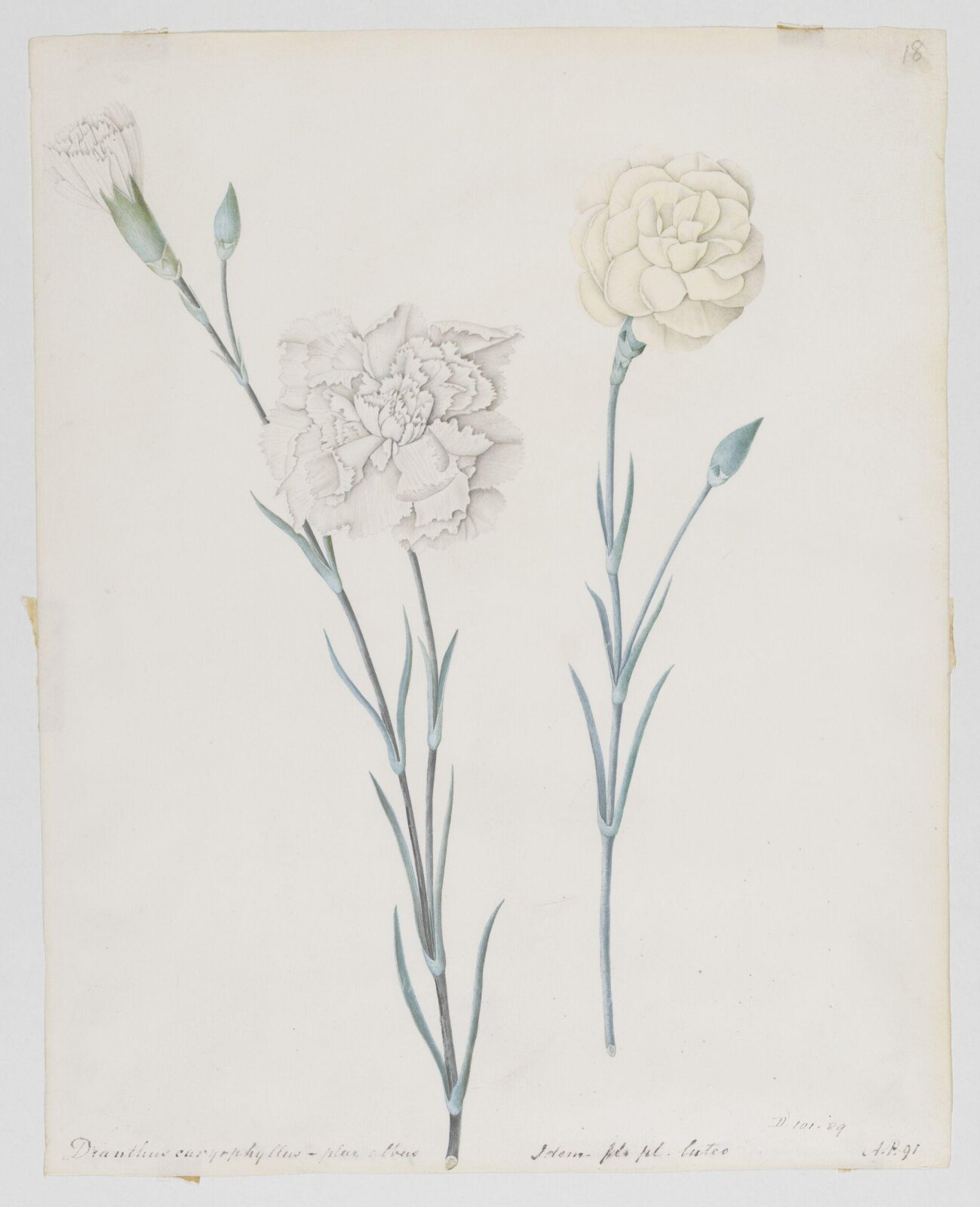 Drawing, A. Power, ca. 1800