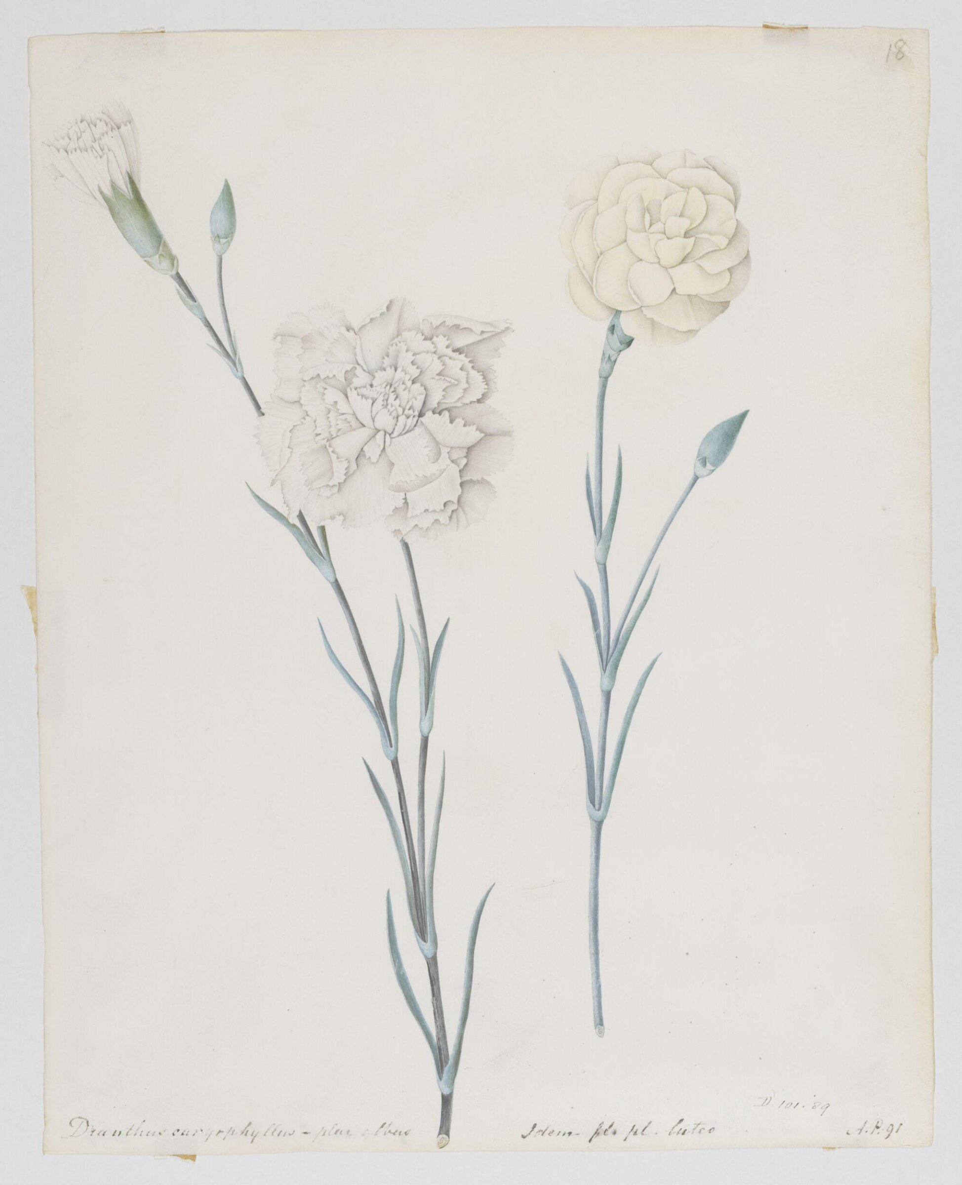 Drawing, A. Power, ca. 1800