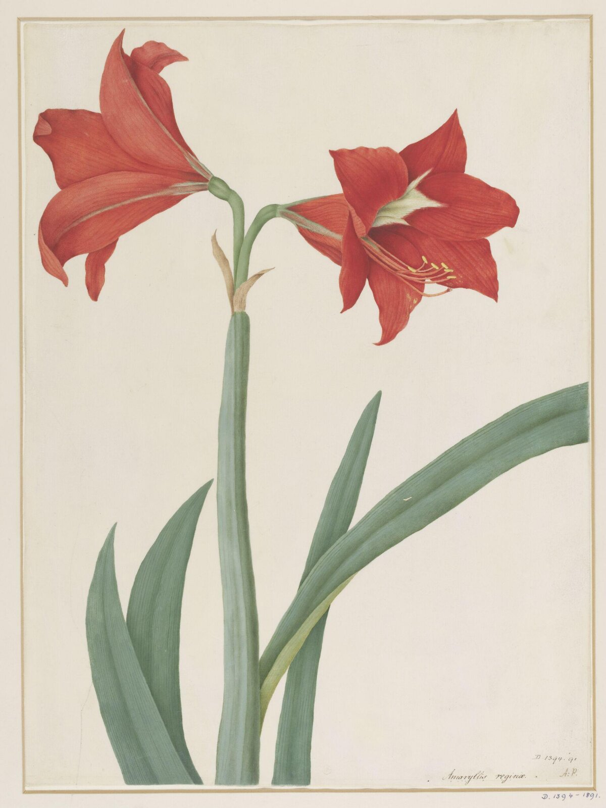 Drawing, A. Power, ca. 1800