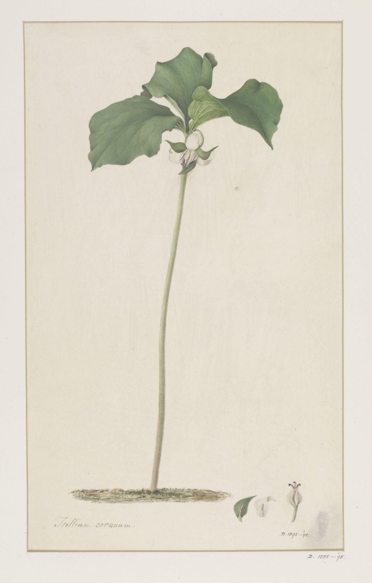 Drawing, A. Power, ca. 1800