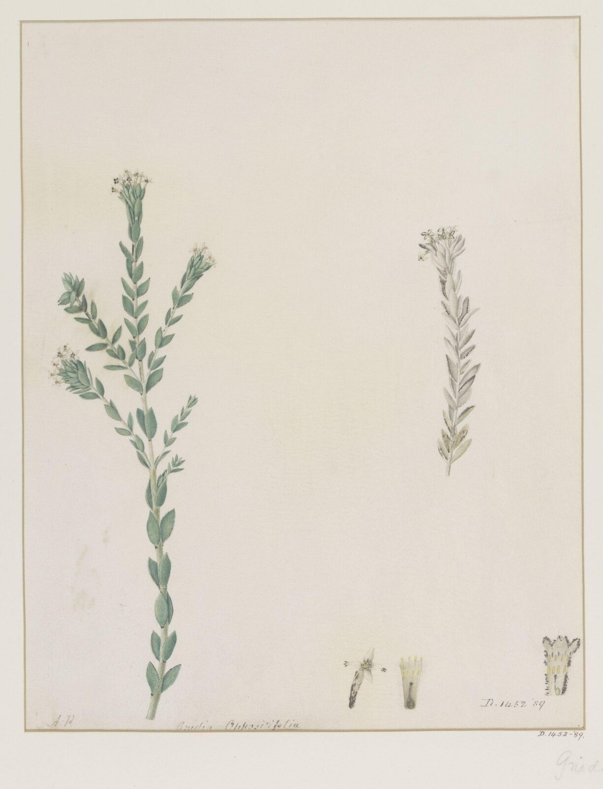 Drawing, A. Power, ca. 1800