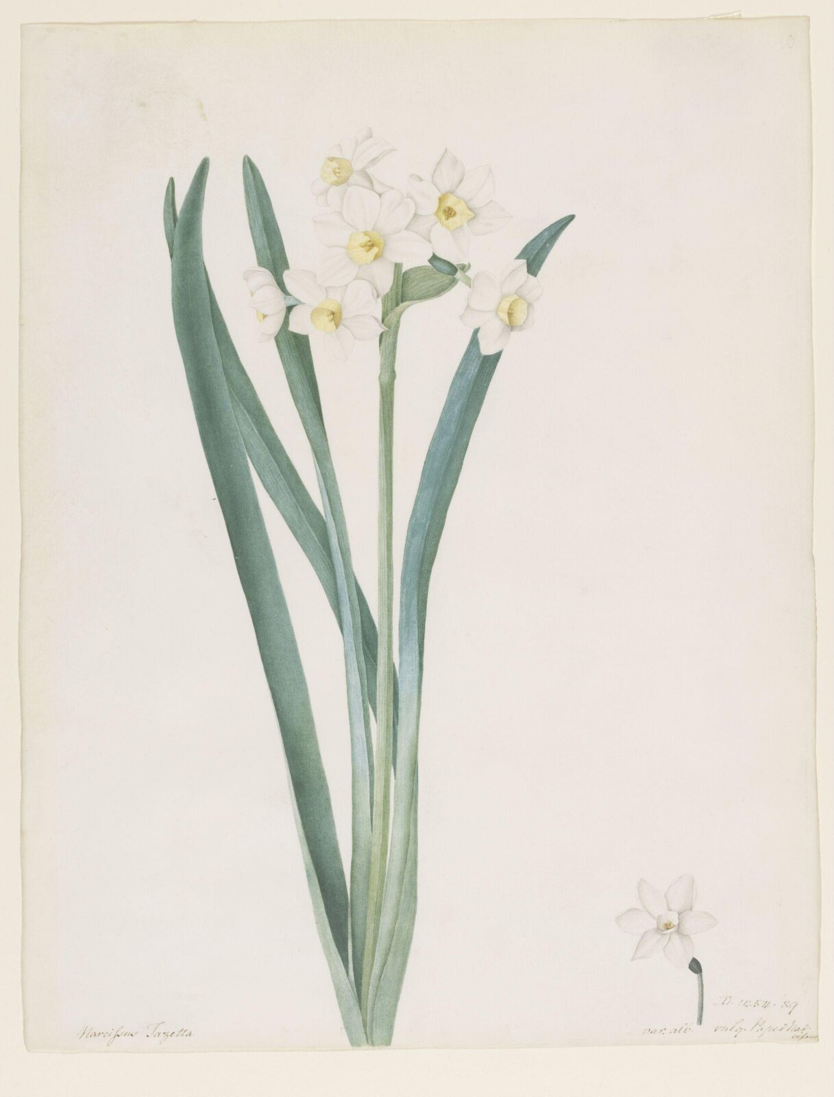 Drawing, A. Power, ca. 1800
