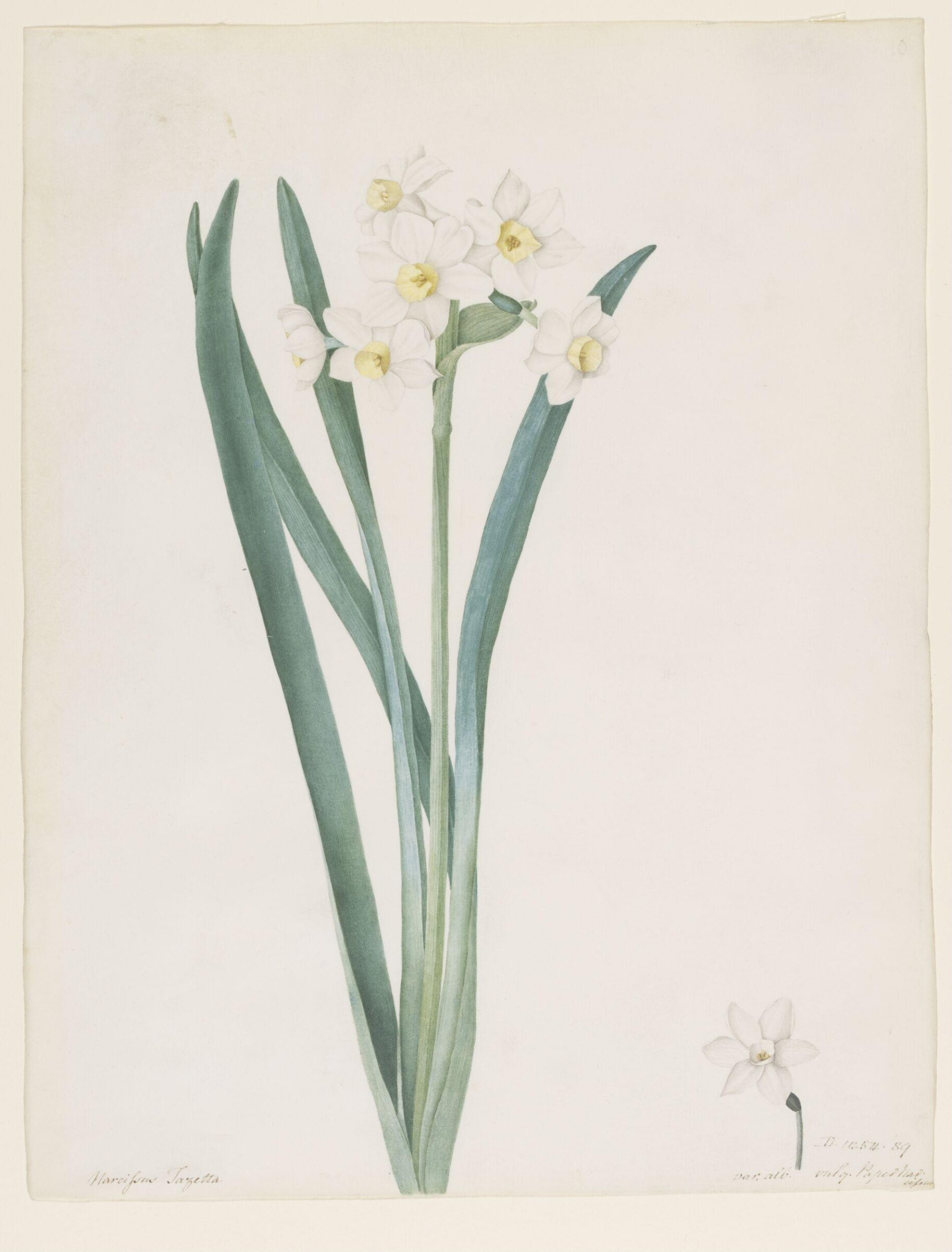 Drawing, A. Power, ca. 1800