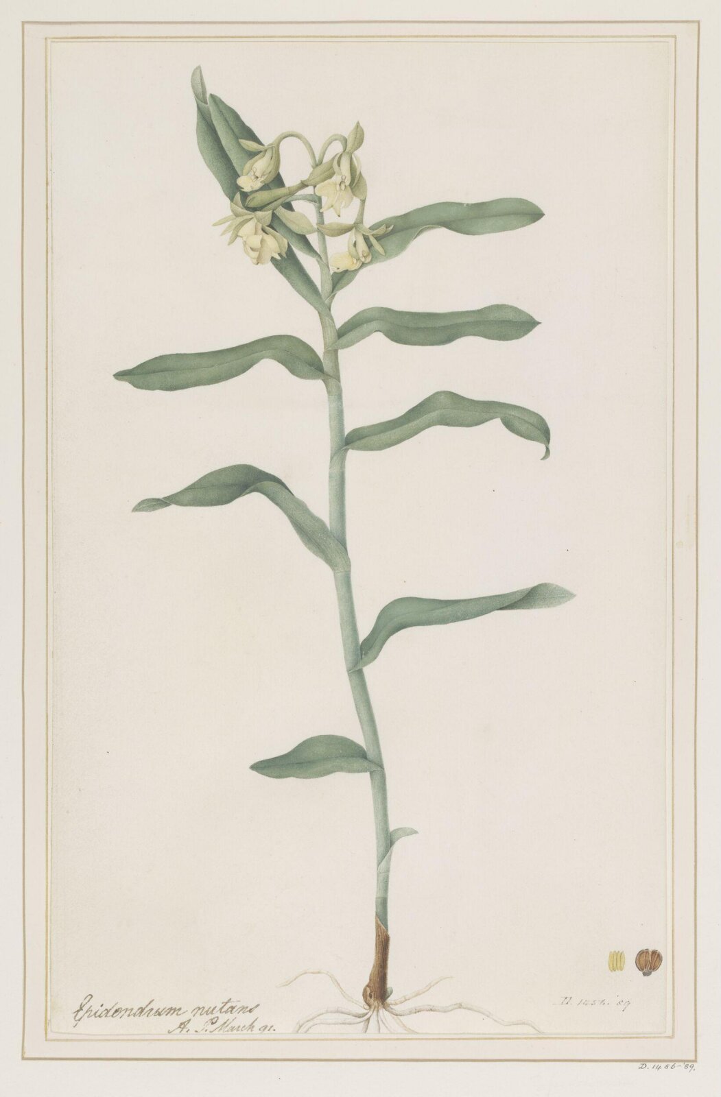 Drawing, A. Power, ca. 1800