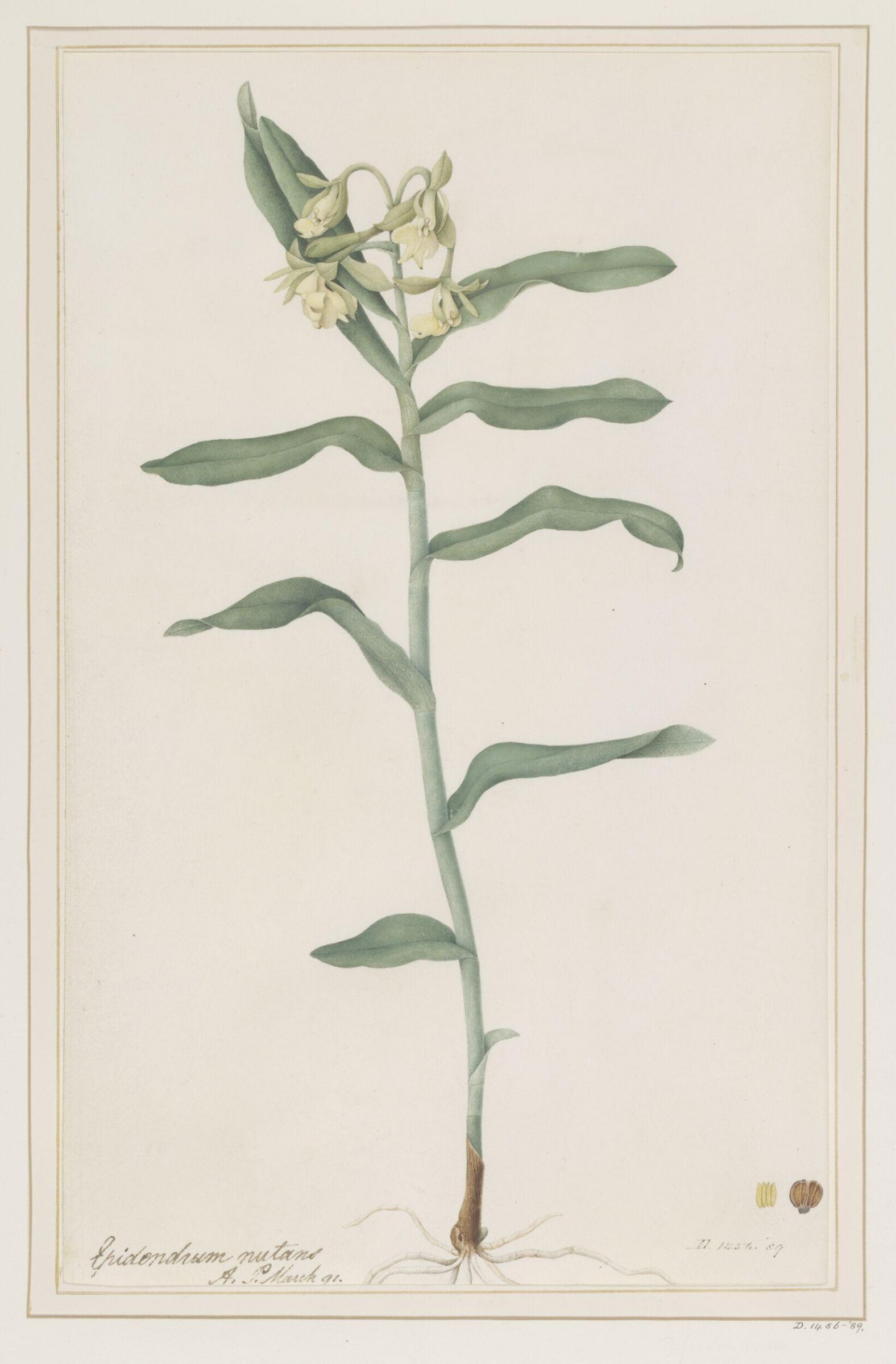 Drawing, A. Power, ca. 1800