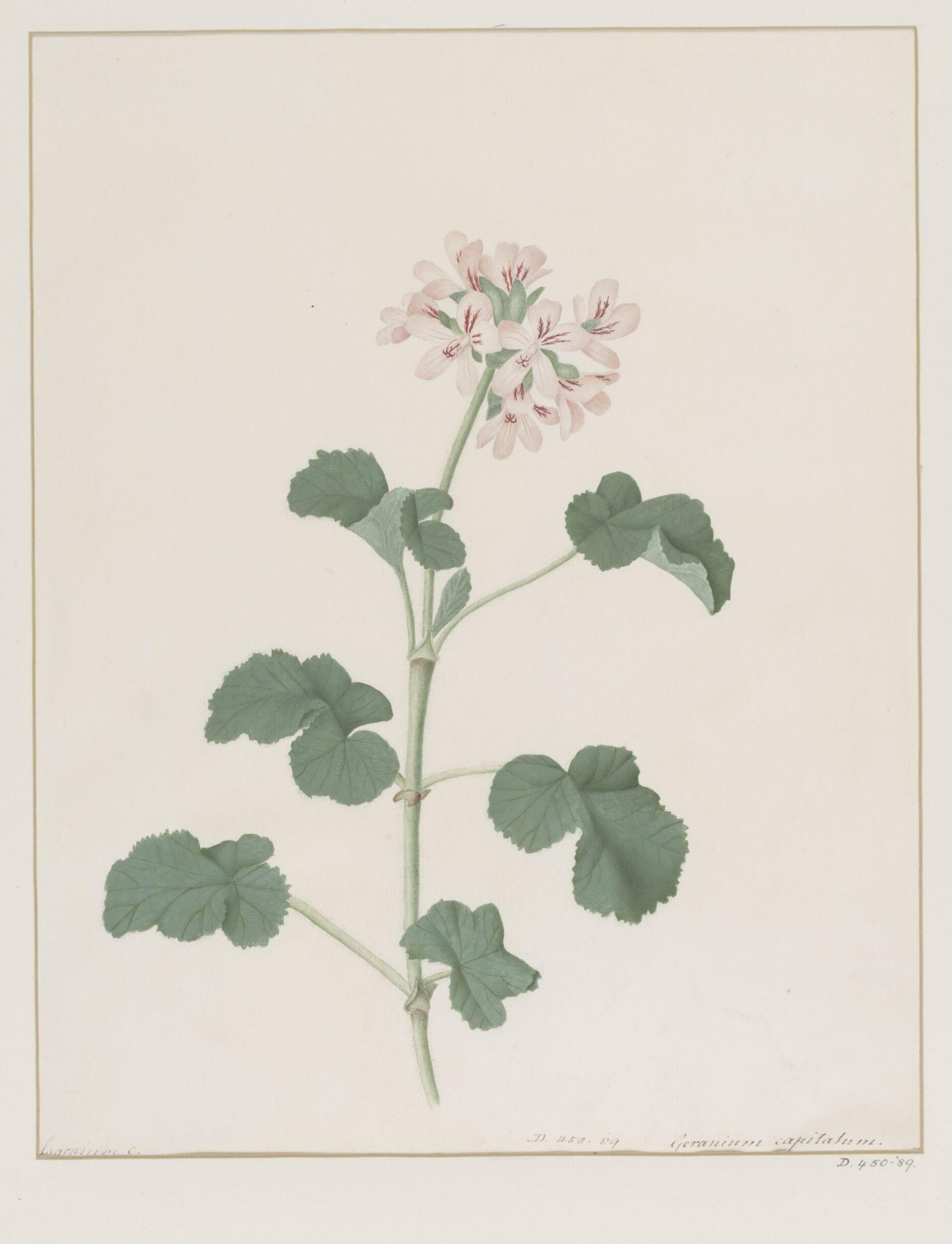 Drawing, A. Power, ca. 1800